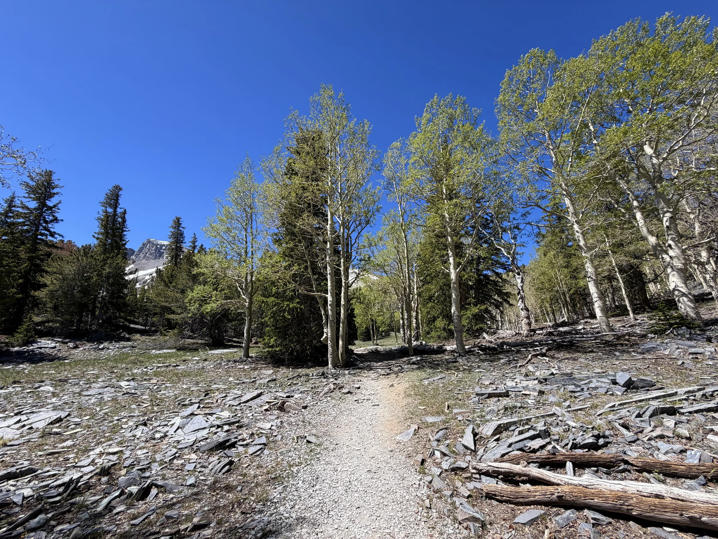Alpine Lakes Trail Great Basin National Park Nevada