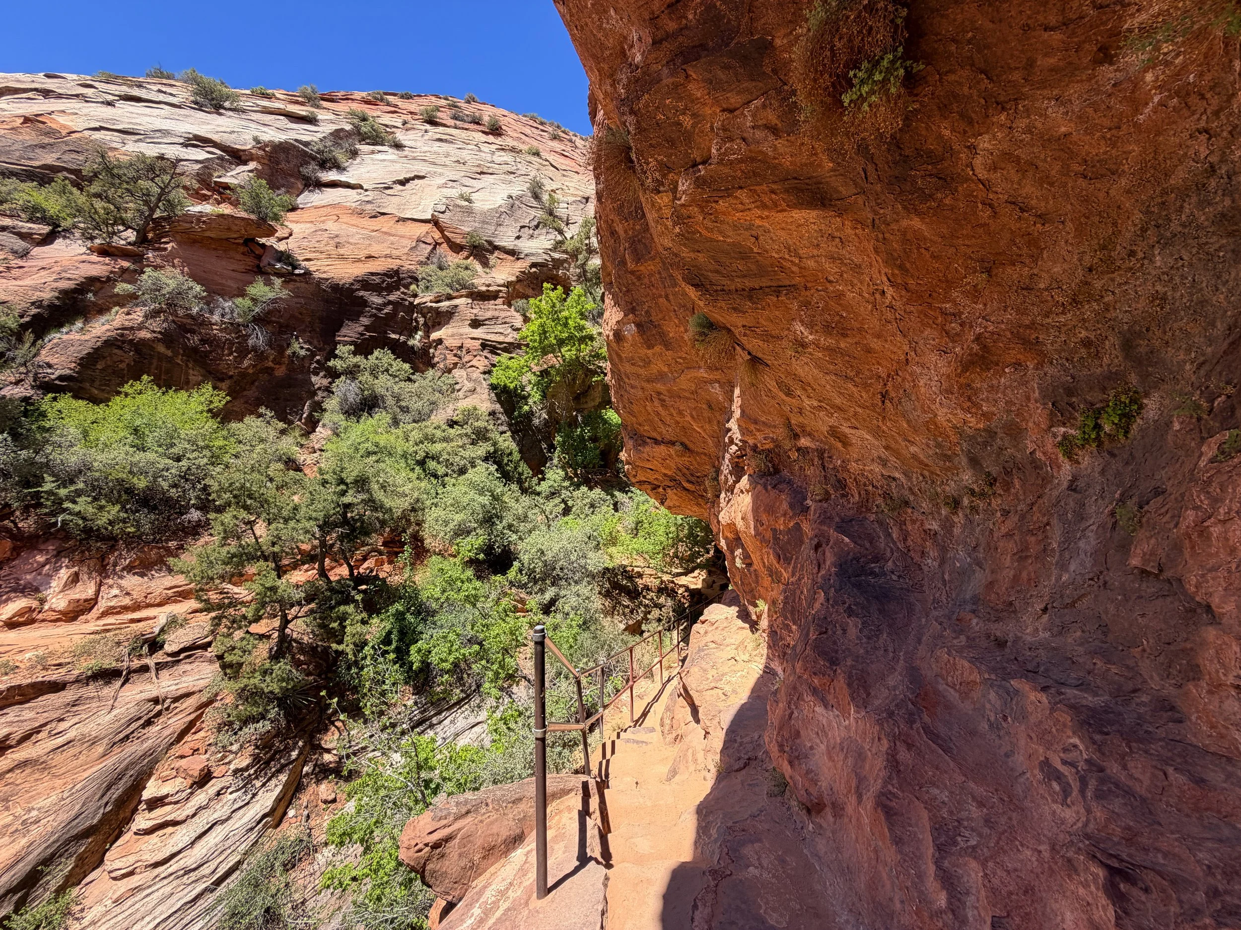 Canyon Overlook Hike Zion National Park Utah