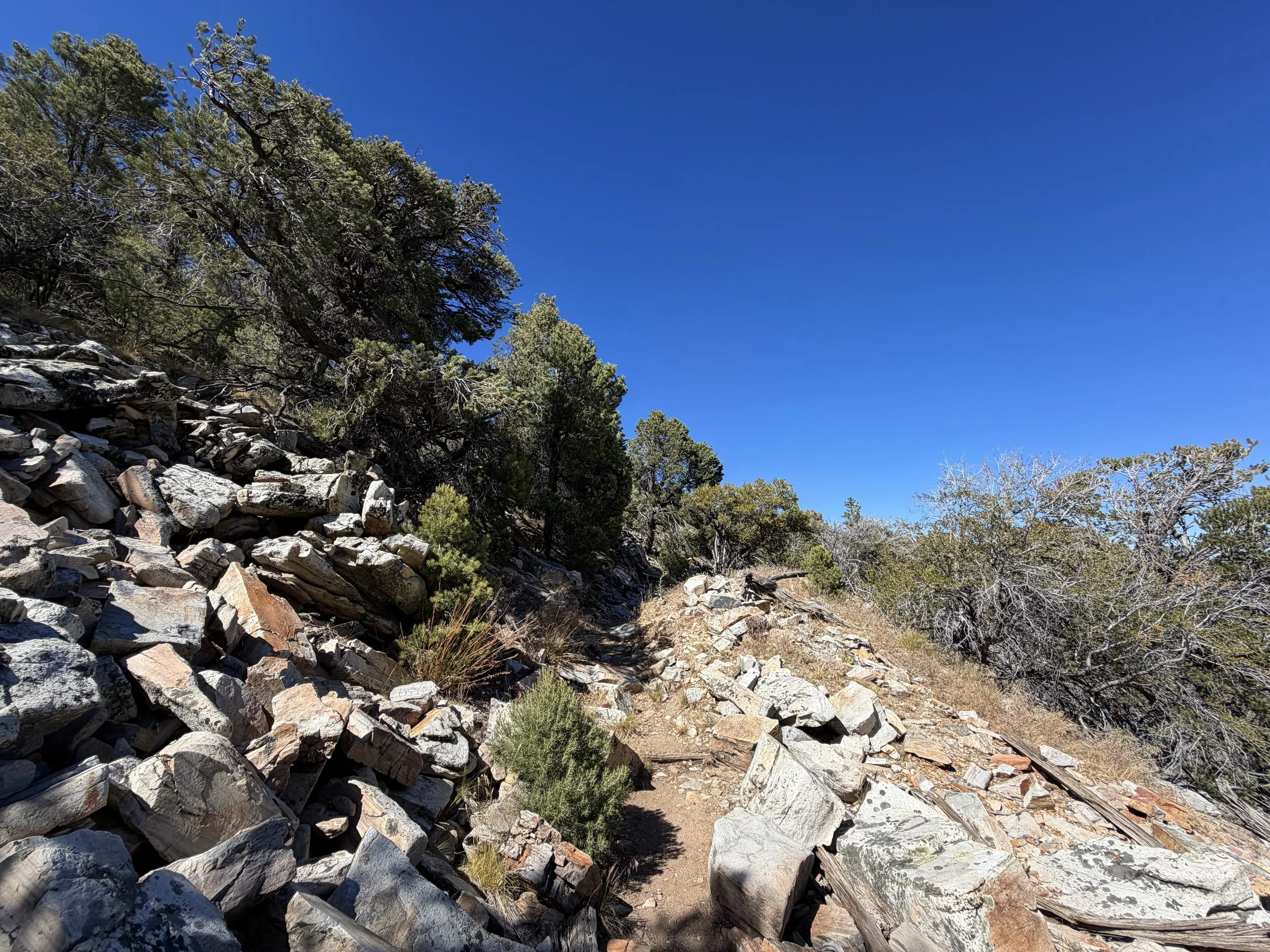 Osceola Ditch Trail Great Basin National Park Nevada