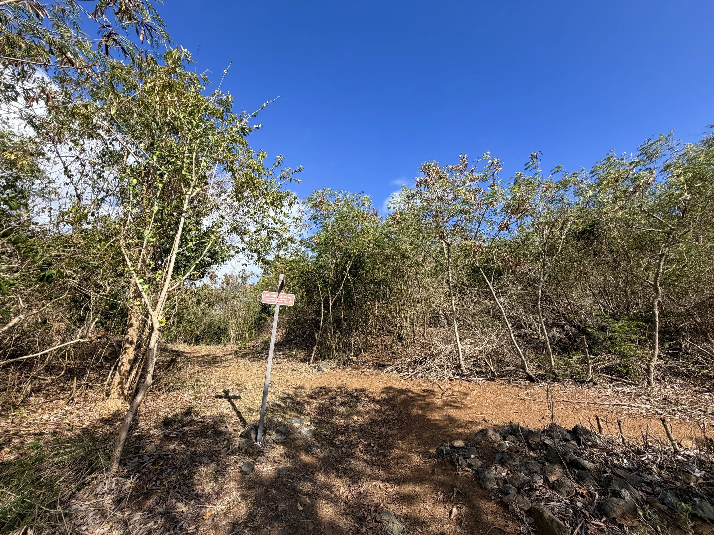 Johnny Horn Hike Virgin Islands National Park