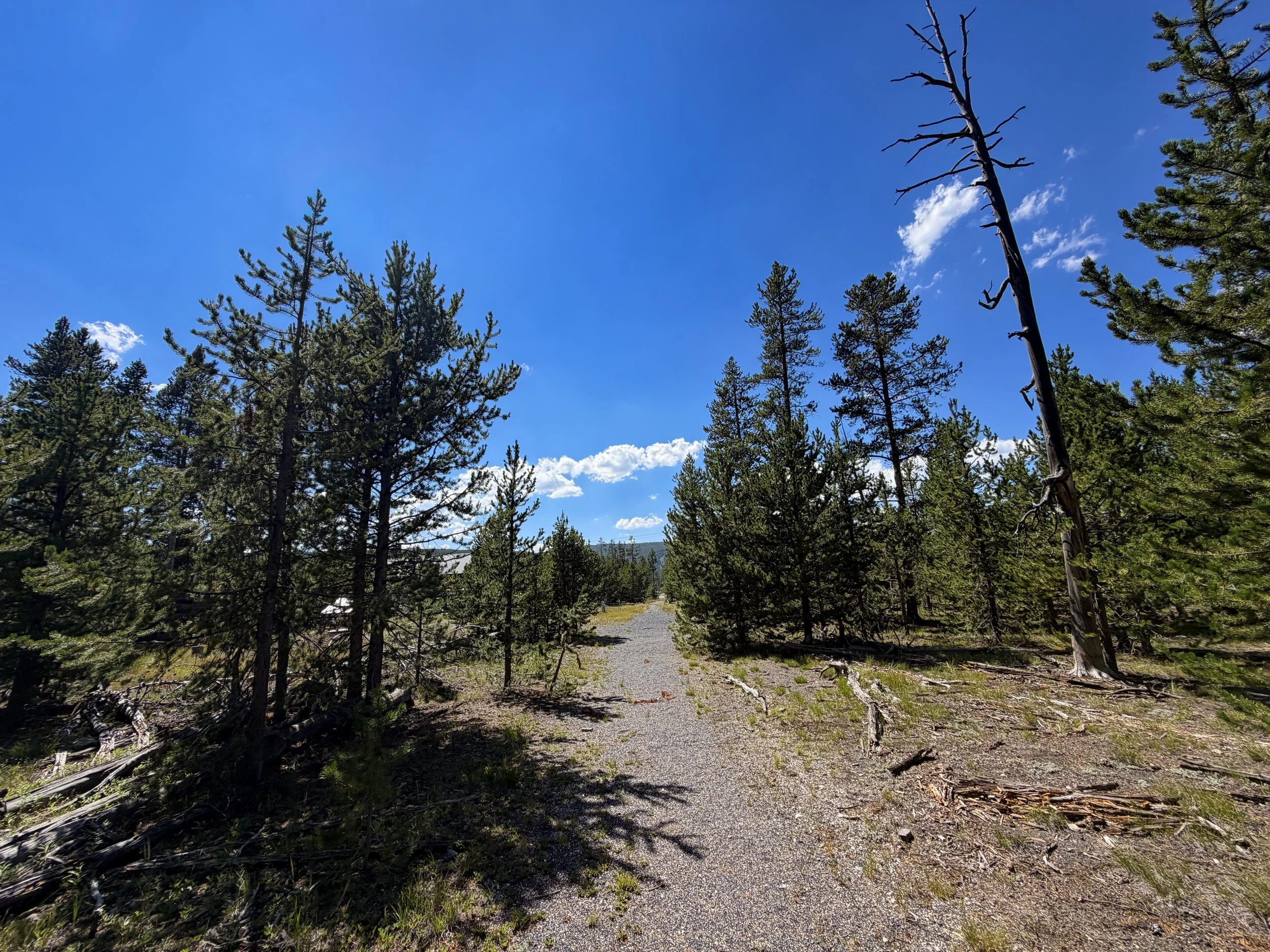 Fern Cascade Loop Trail Yellowstone National Park Wyoming