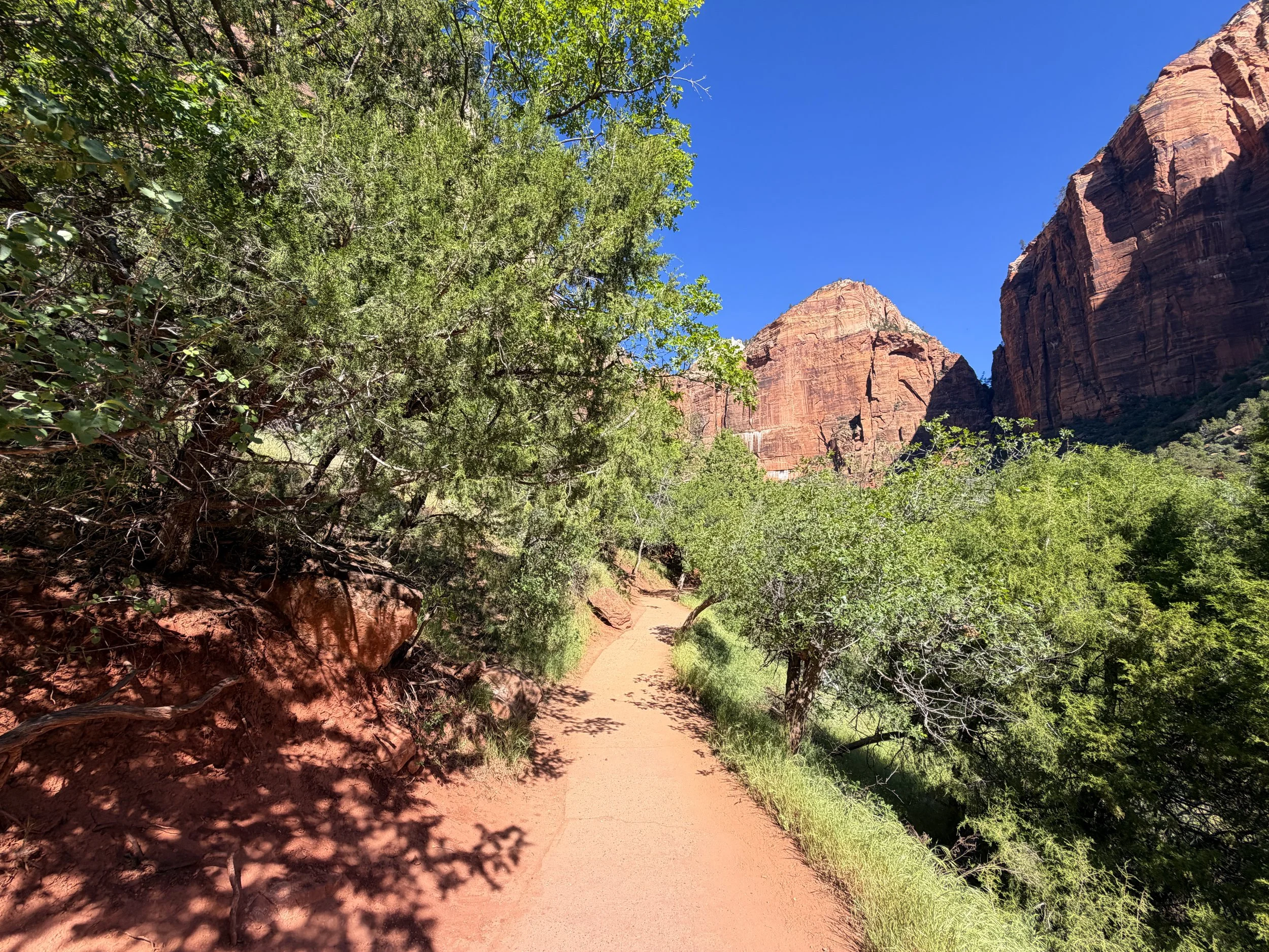 Lower Emerald Pool Trail Zion National Park Utah