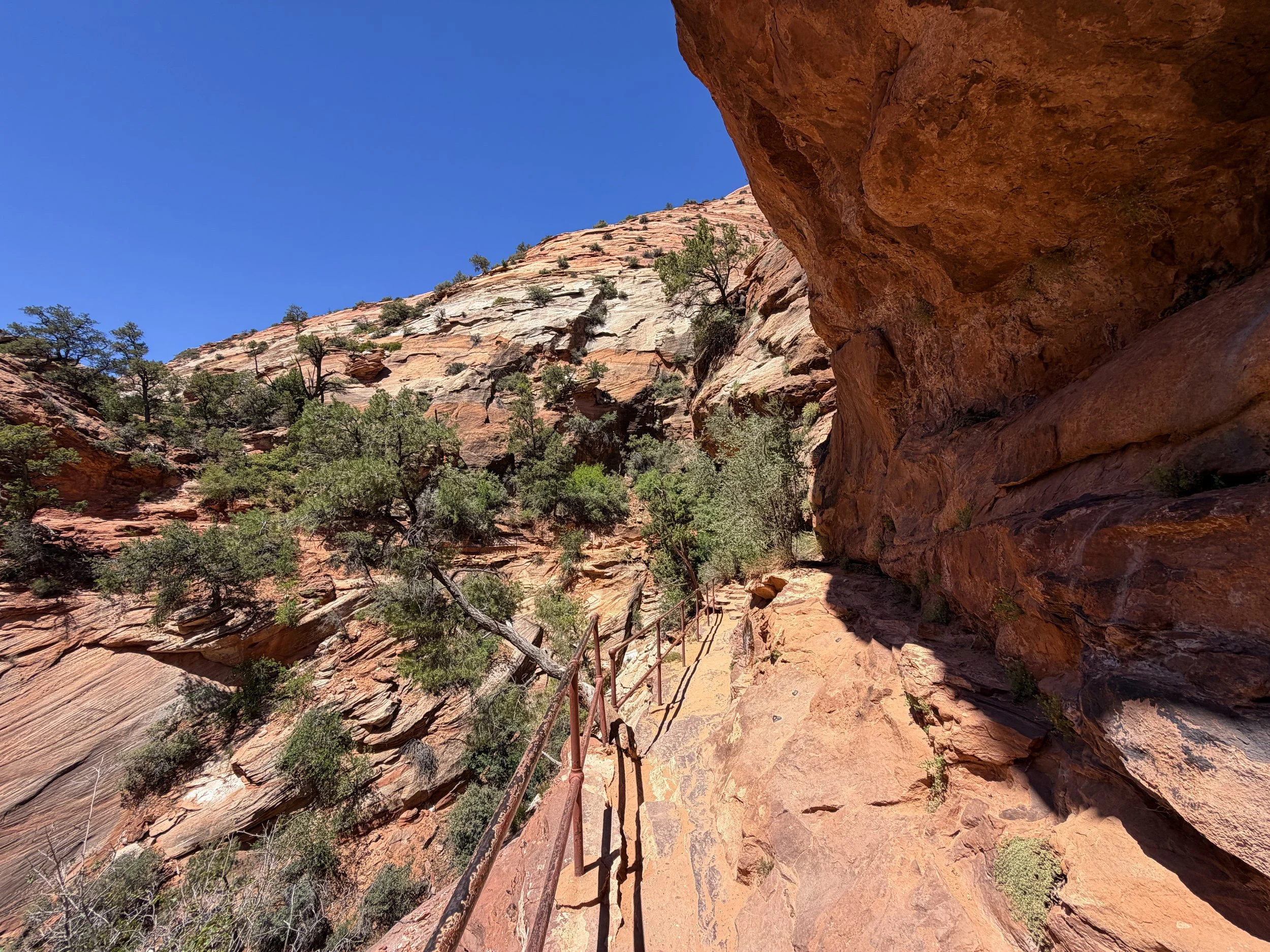 Canyon Overlook Hike Zion National Park Utah