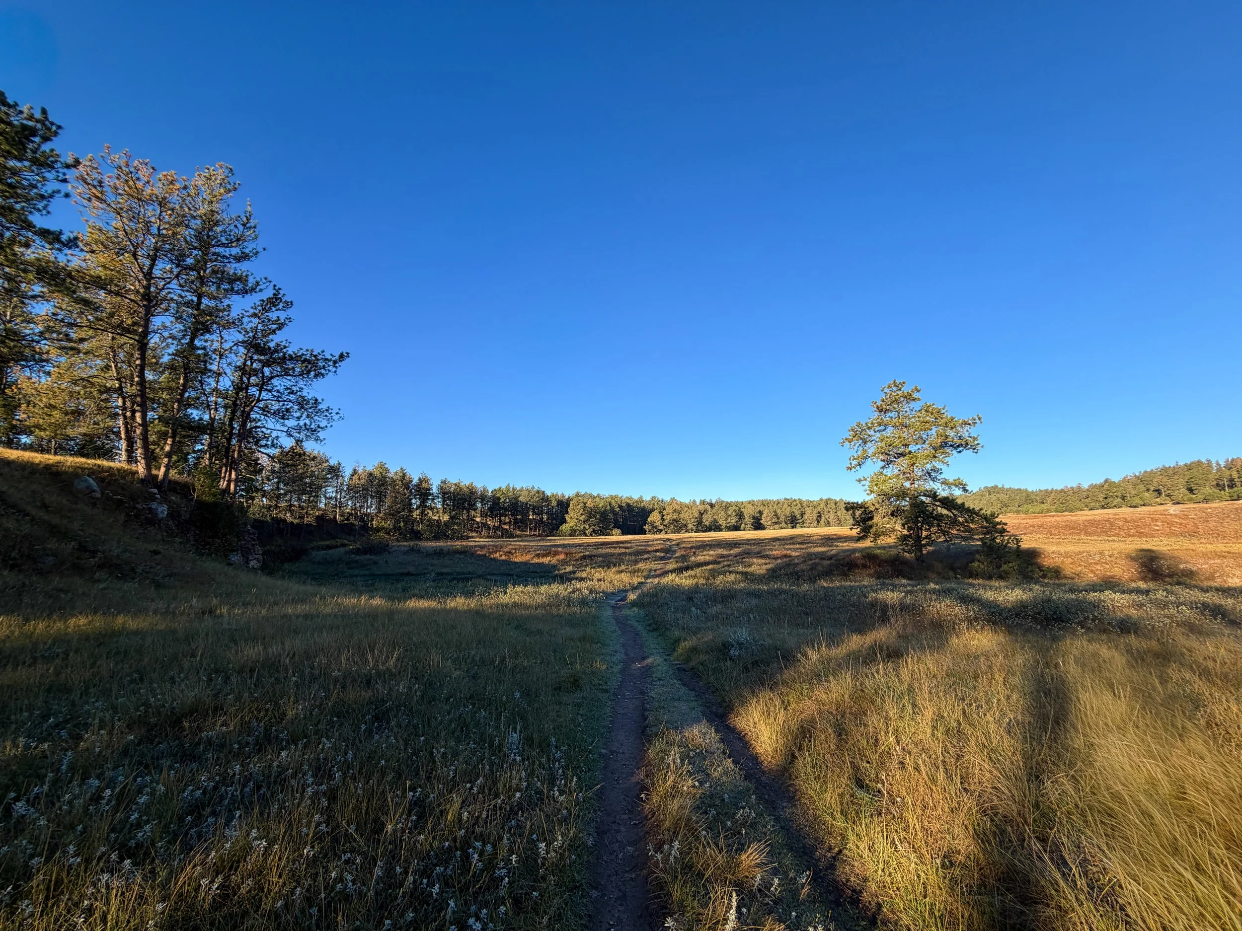 Cold Brook Canyon Trail Wind Cave National Park South Dakota