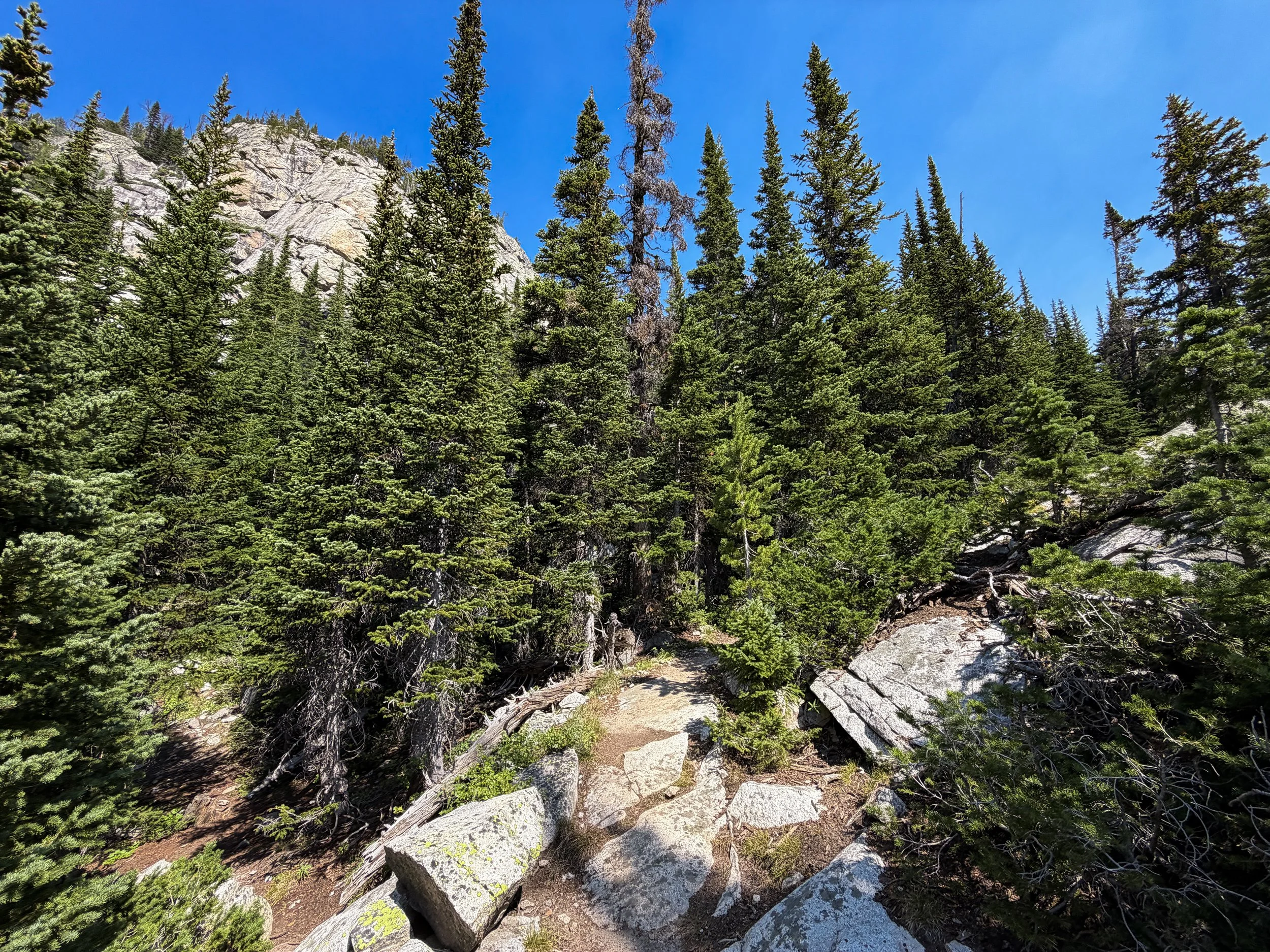 East Rosebud Trail The Beaten Path Beartooth Mountains Montana