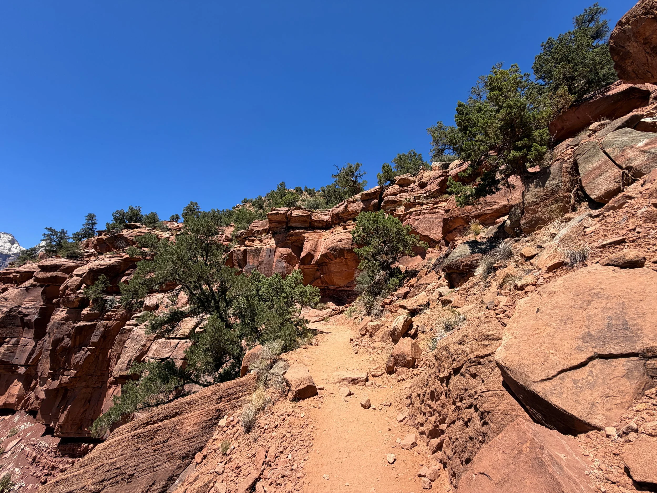 Watchman Trail Switchbacks Zion National Park Utah