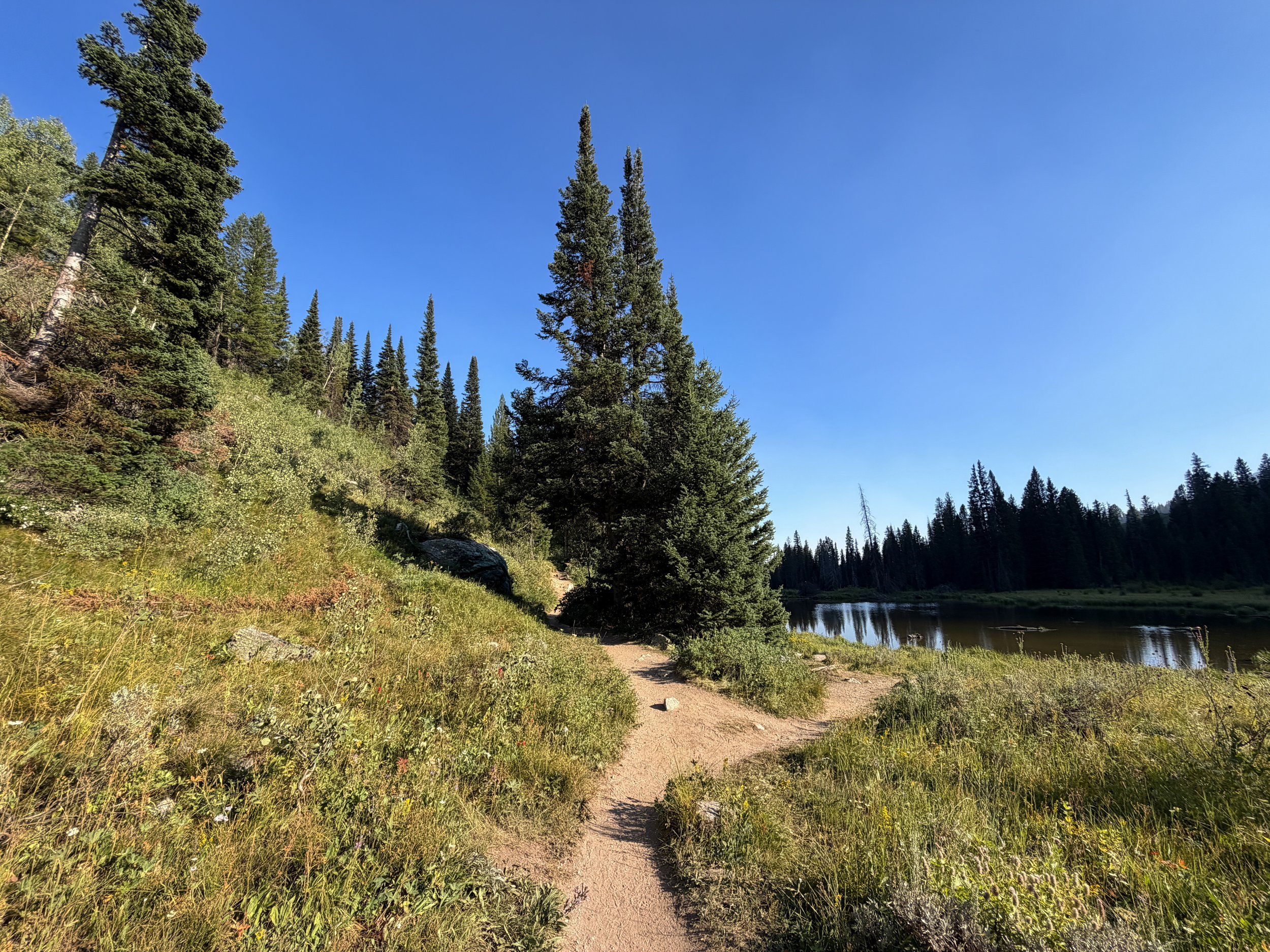 Moose Ponds Loop Trail Grand Teton National Park Wyoming