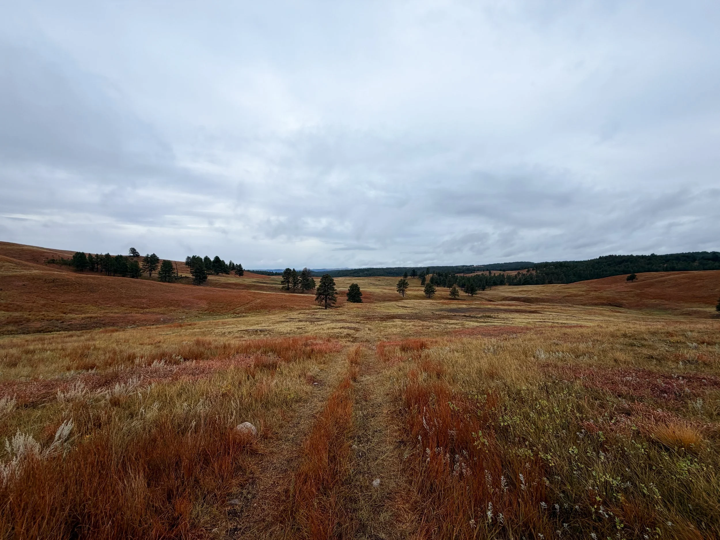 Highland Creek Trail Wind Cave National Park South Dakota