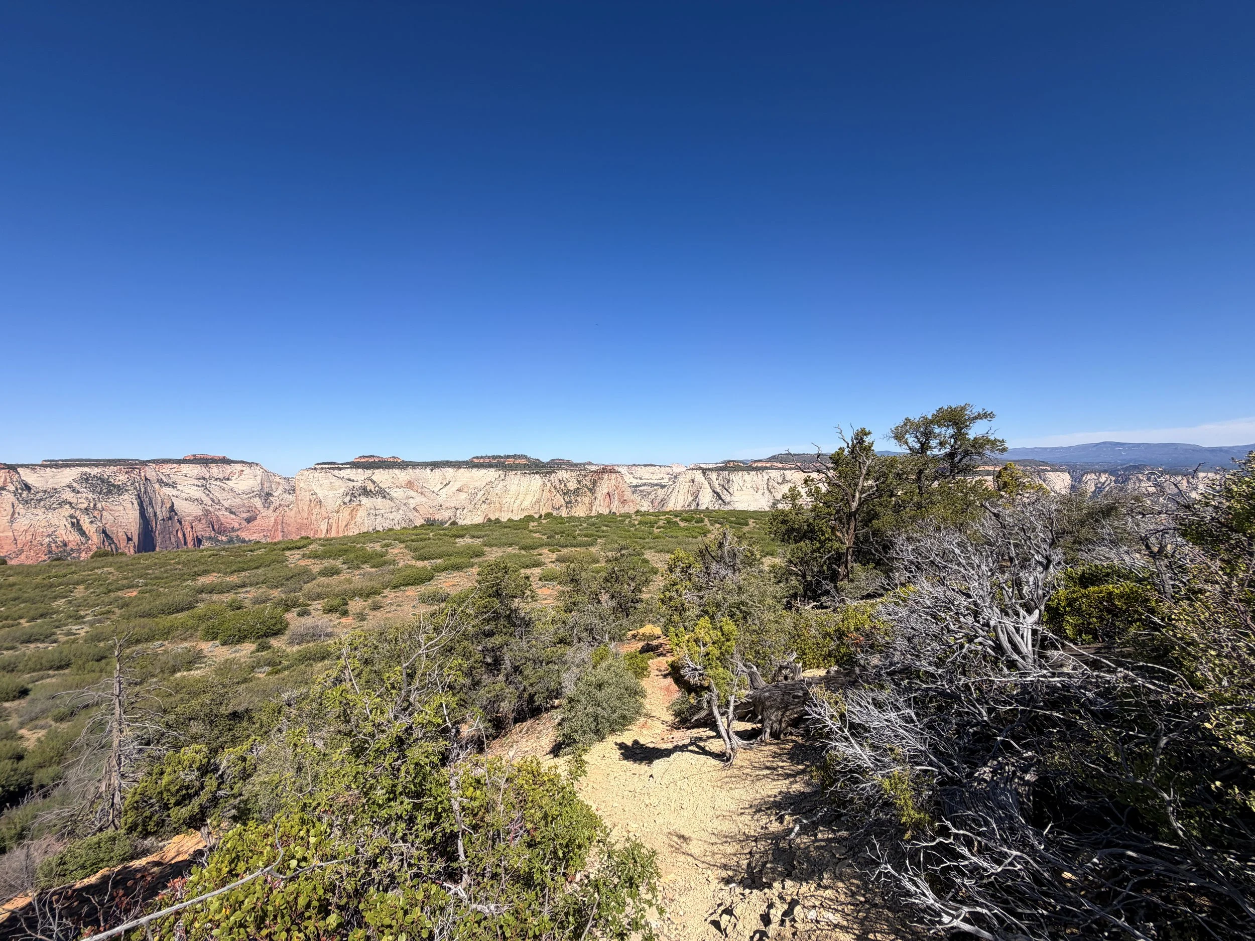 Deertrap Mountain Trail Zion National Park Utah