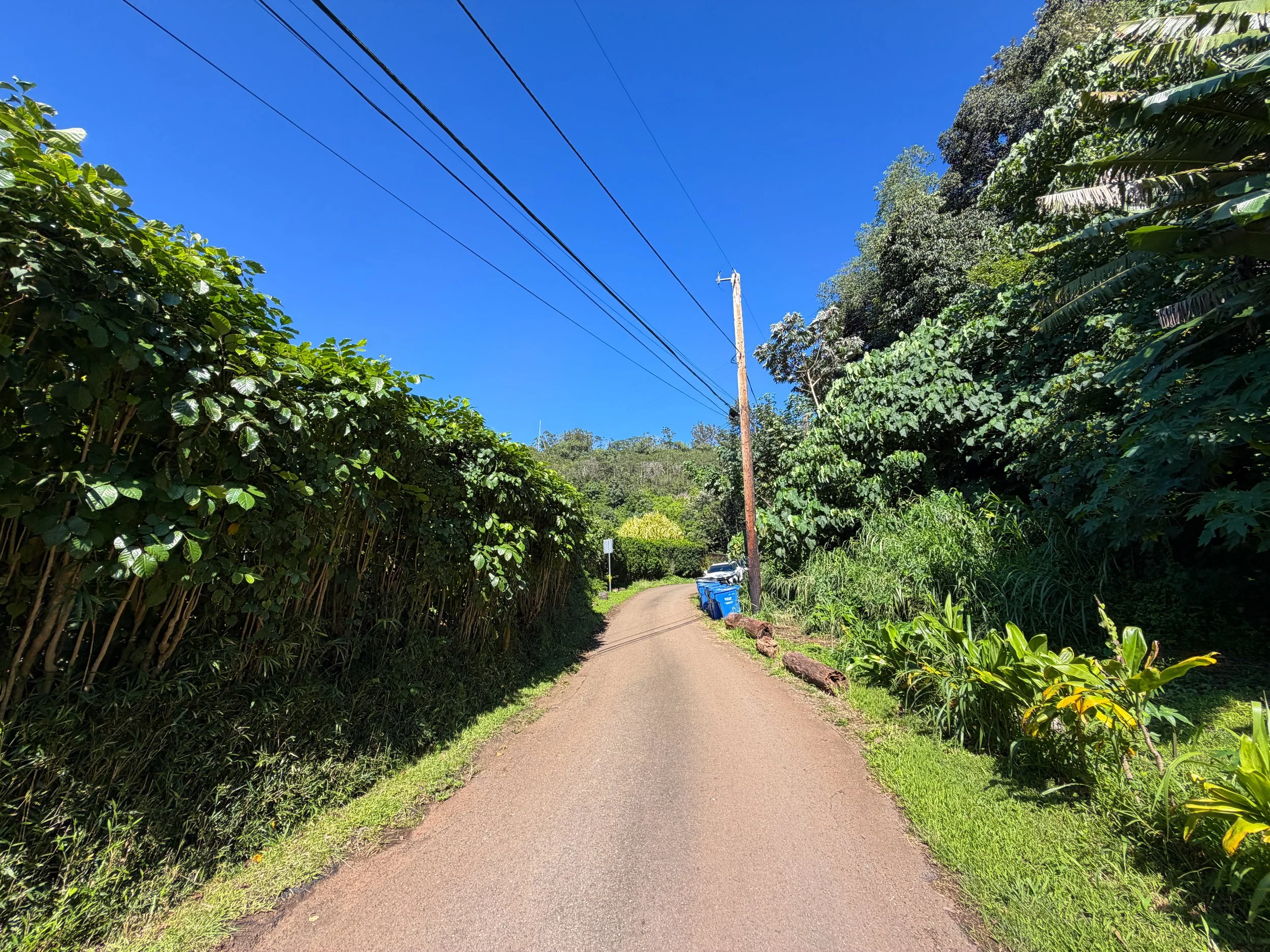 Kaau Crater Trailhead Oahu Hawaii
