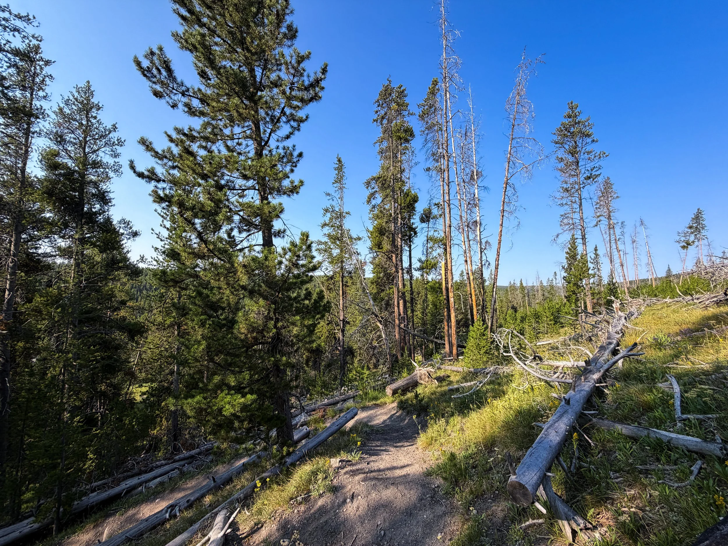 Natural Bridge Trail Yellowstone National Park Wyoming