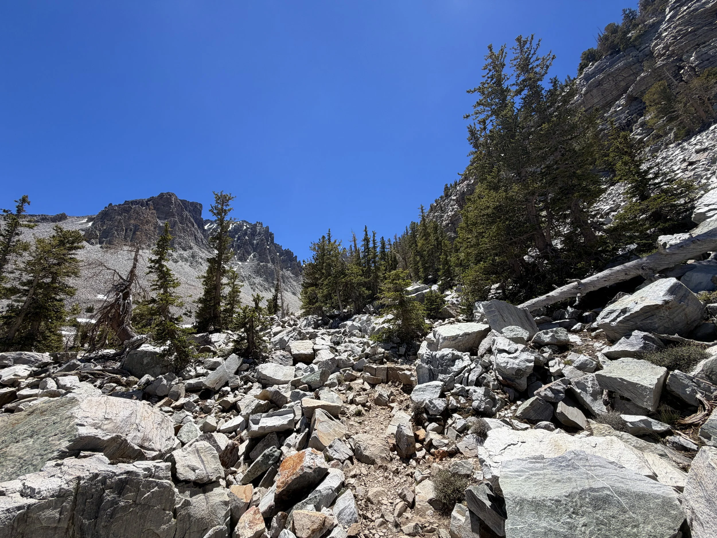 Glacier Trail Great Basin National Park Nevada