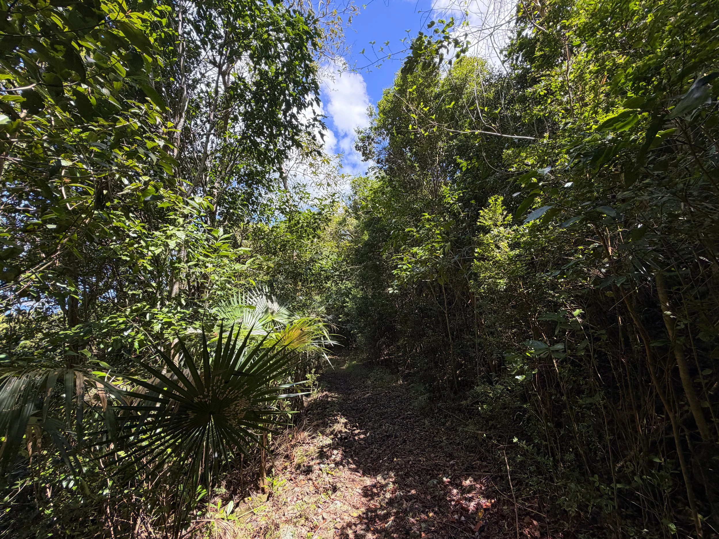 Water Catchment Hike Virgin Islands National Park