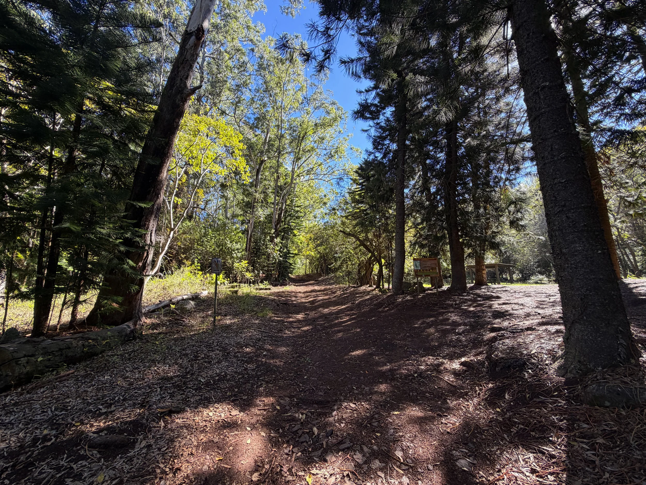 Peacock Flats Campground to Mokuleia Trail Oahu Hawaii