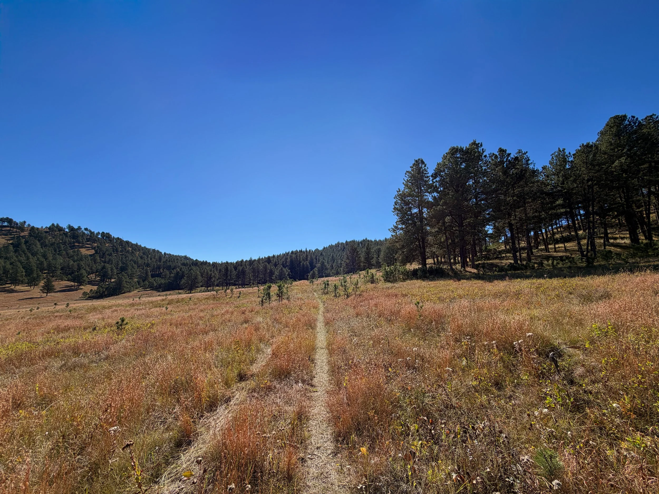Sanctuary Hike Wind Cave National Park South Dakota