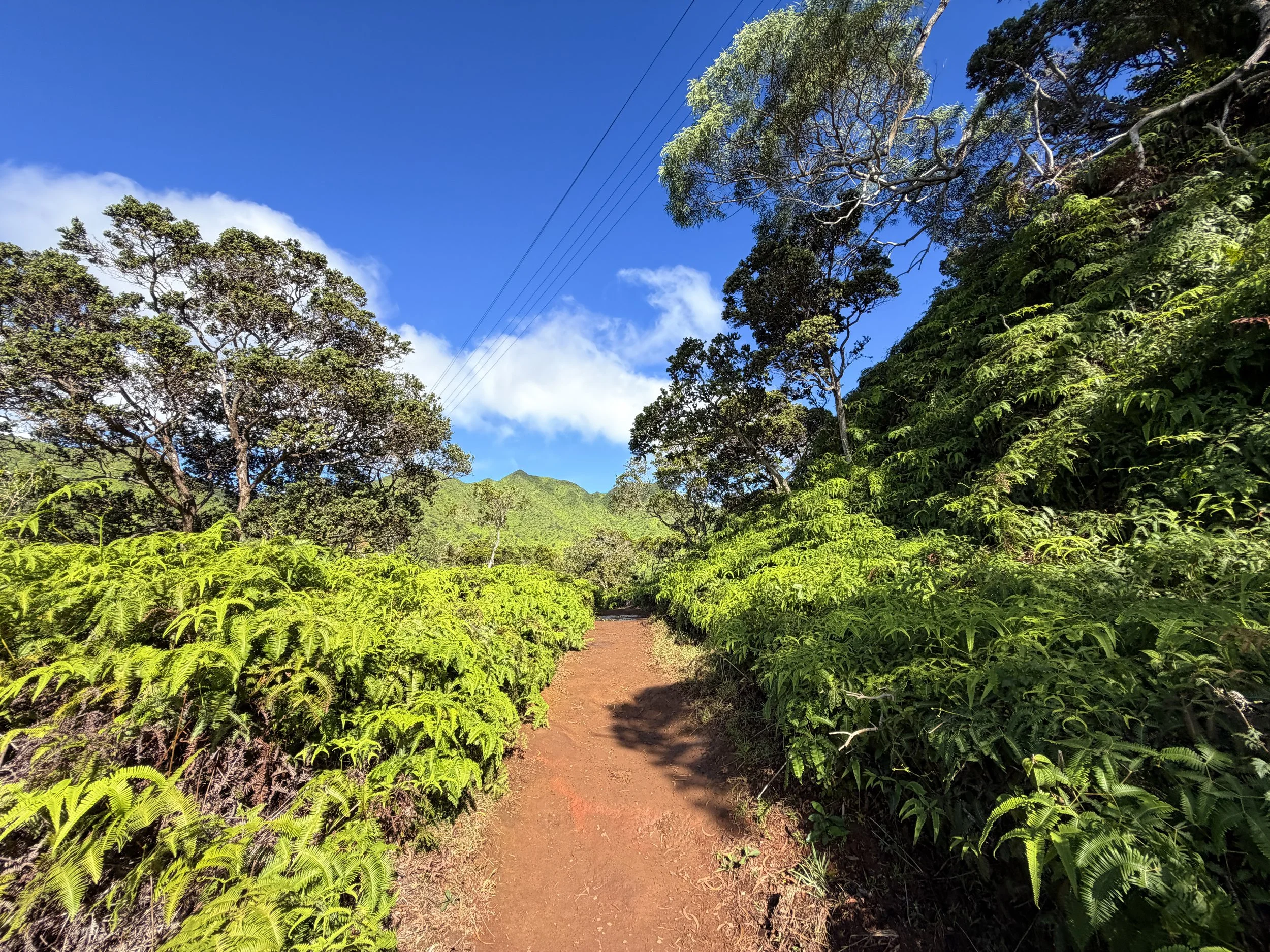 Wiliwilinui Ridge Trail Oahu Hawaii