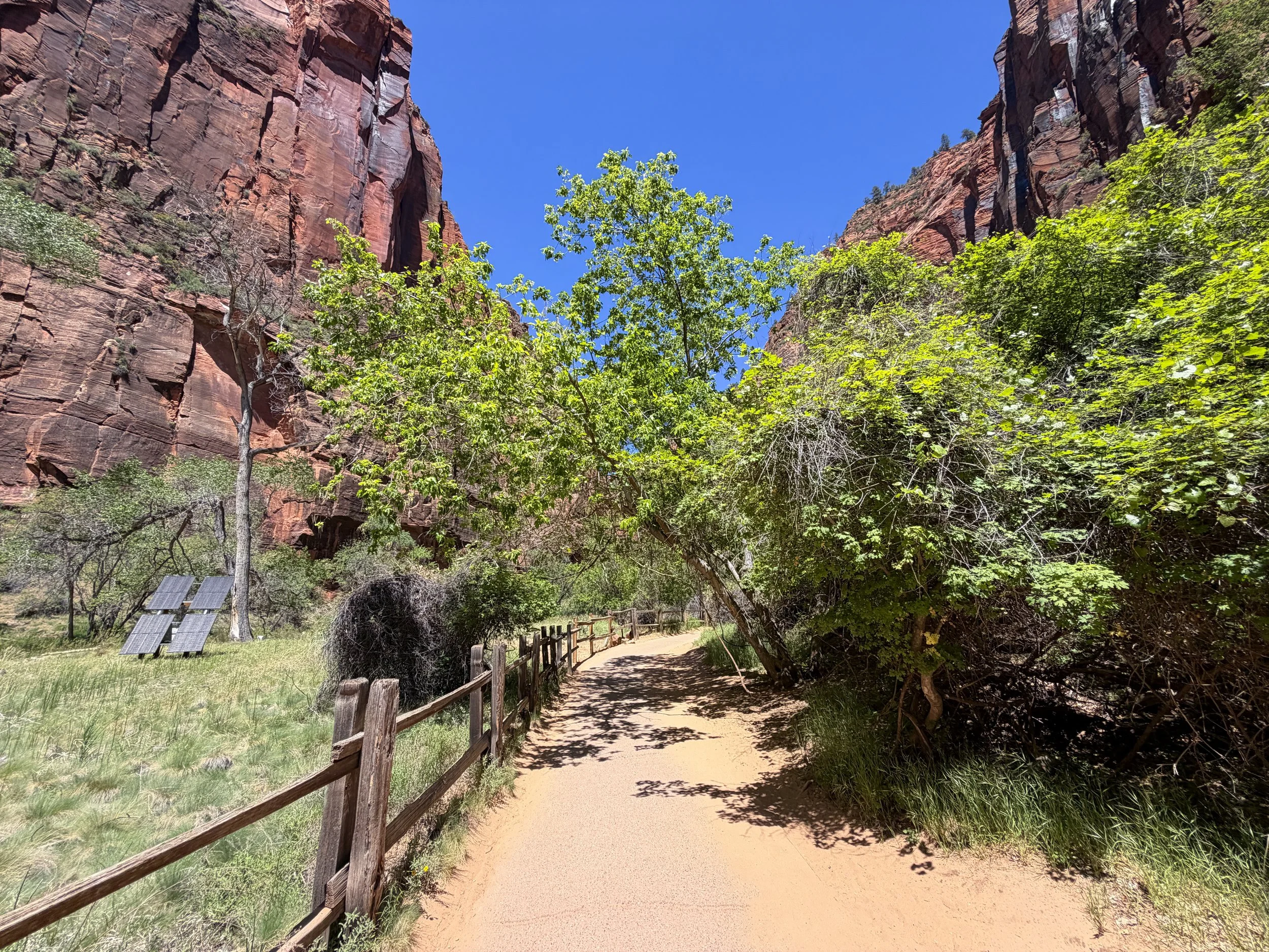 Riverside Walk Zion National Park Utah