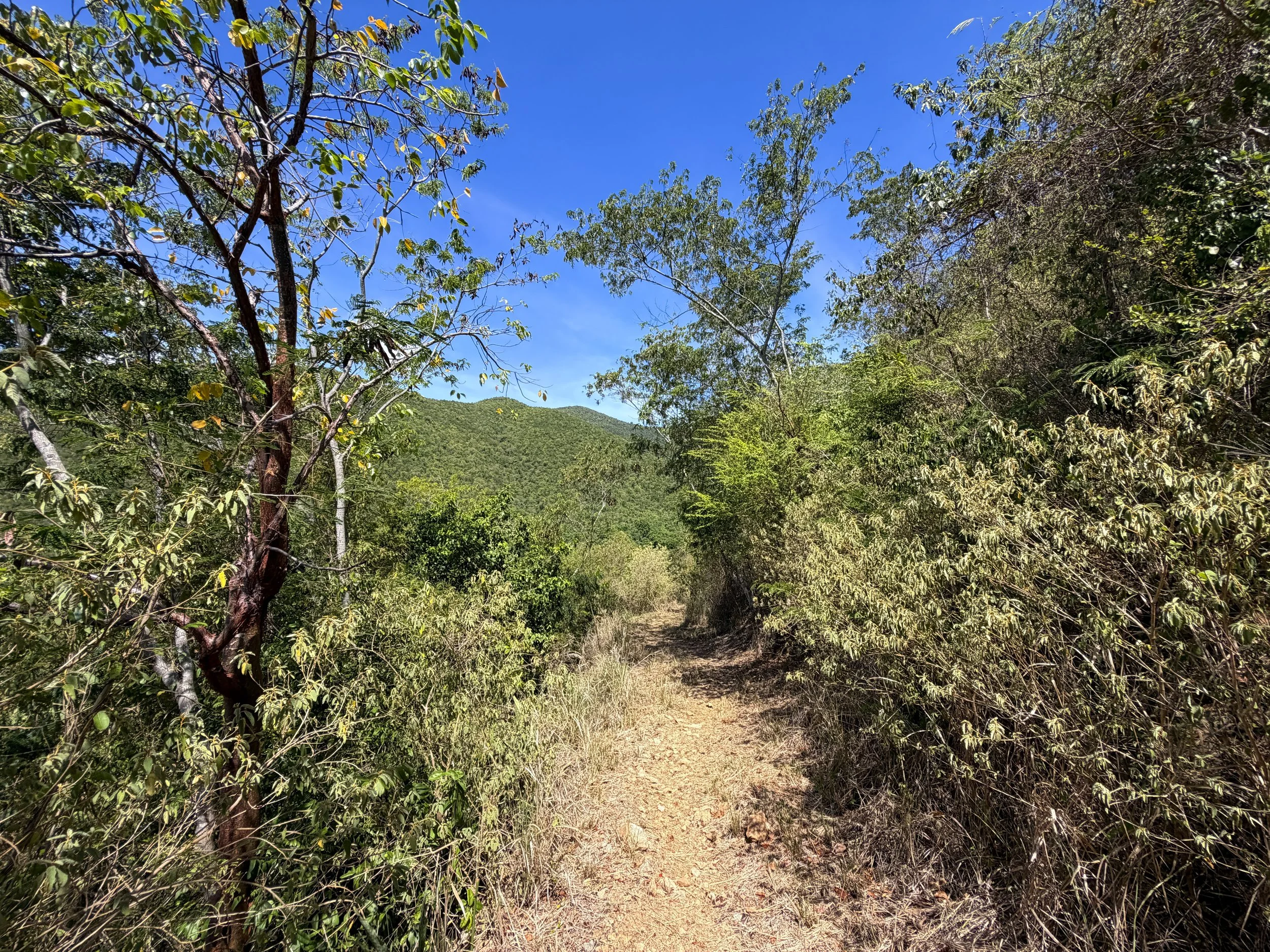 Lameshur Bay Trail Virgin Islands National Park