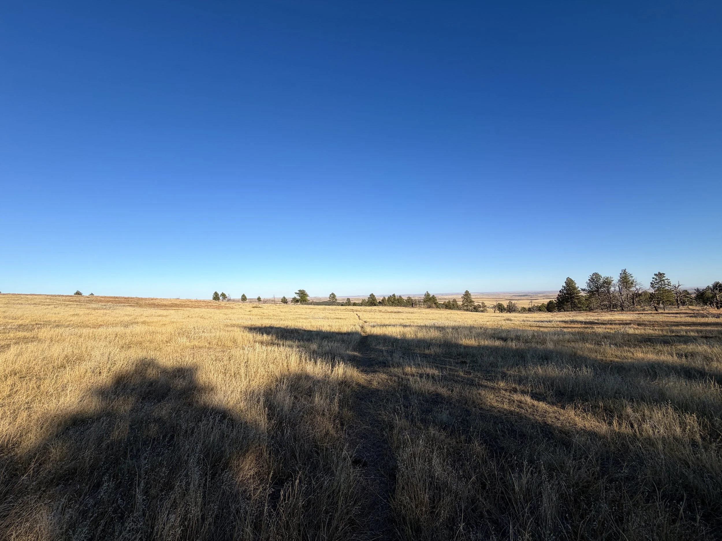 Boland Ridge Hike Wind Cave National Park South Dakota
