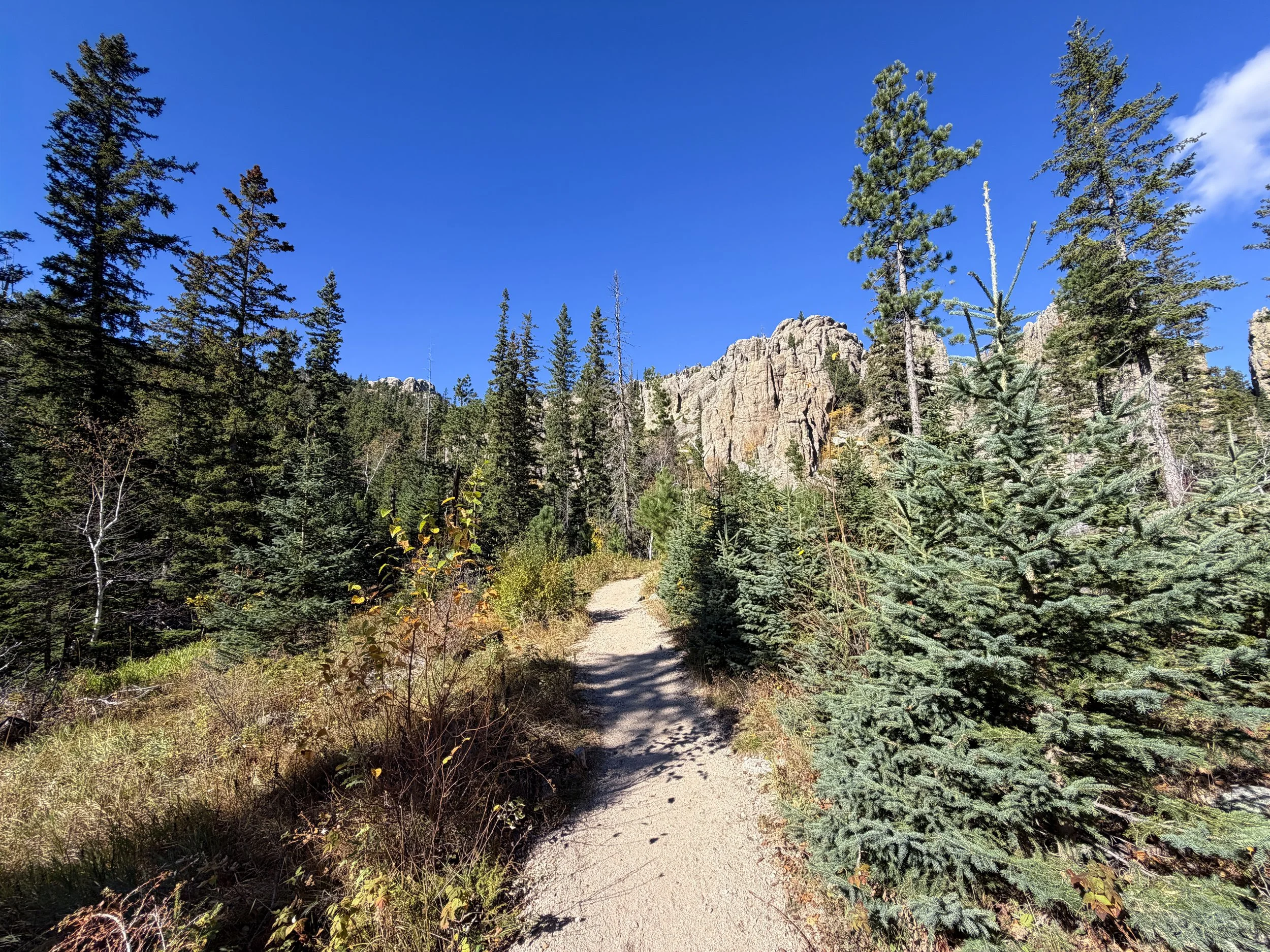 Cathedral Spires Trail Custer State Park Black Hills South Dakota