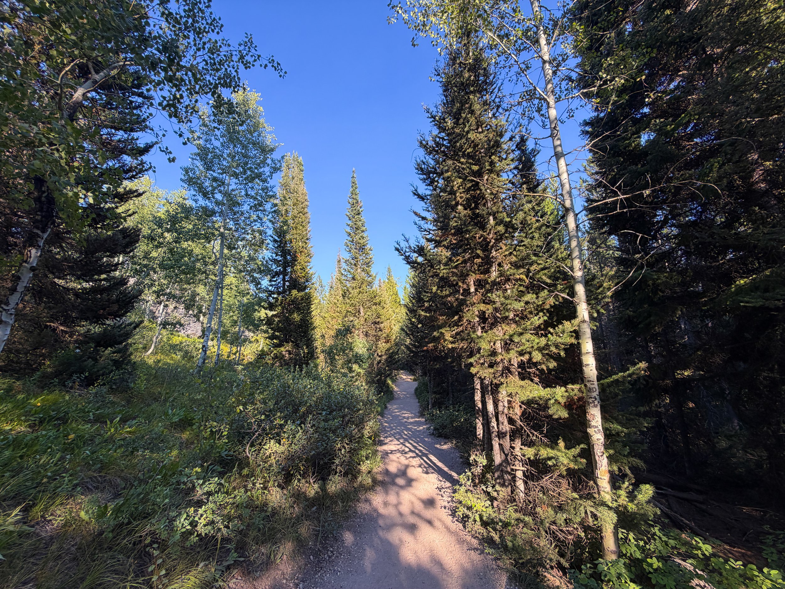 Moose Ponds Loop Trail Grand Teton National Park Wyoming