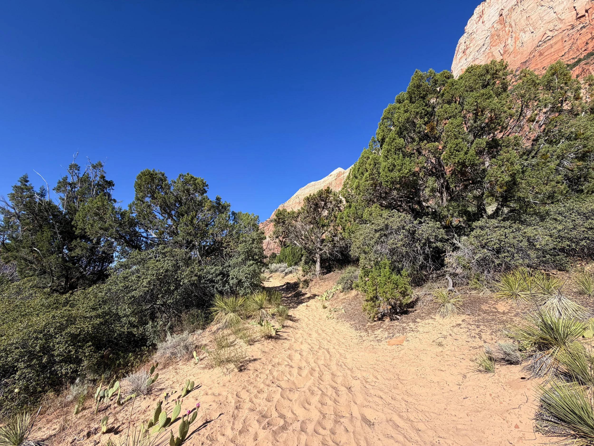 Sand Bench Hike Zion National Park Utah