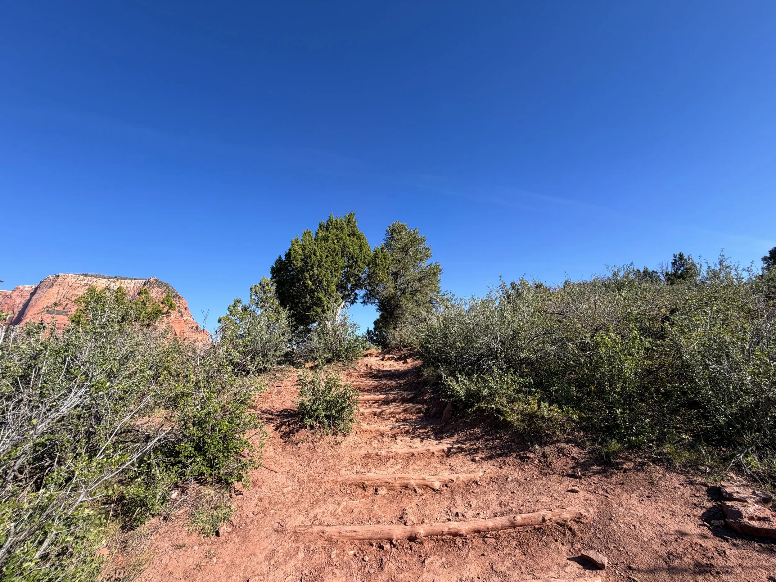 Timber Creek Overlook Hike Zion National Park Utah