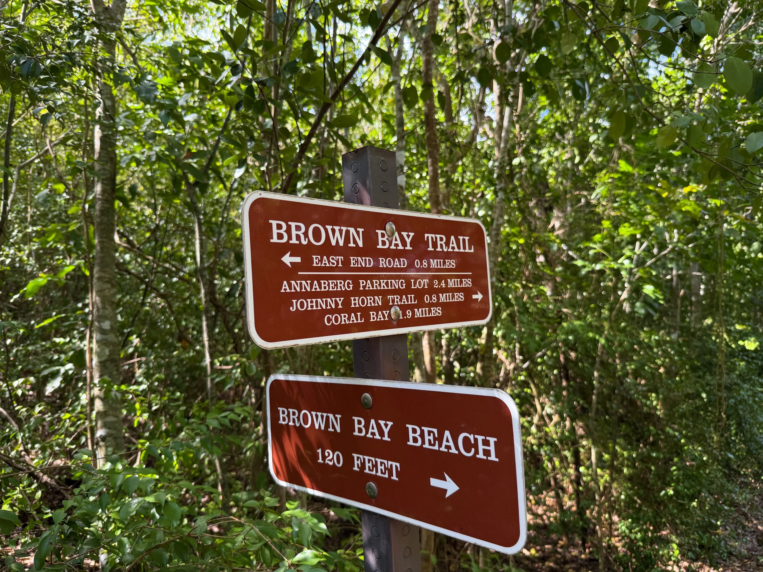 Brown Bay Trail Virgin Islands National Park
