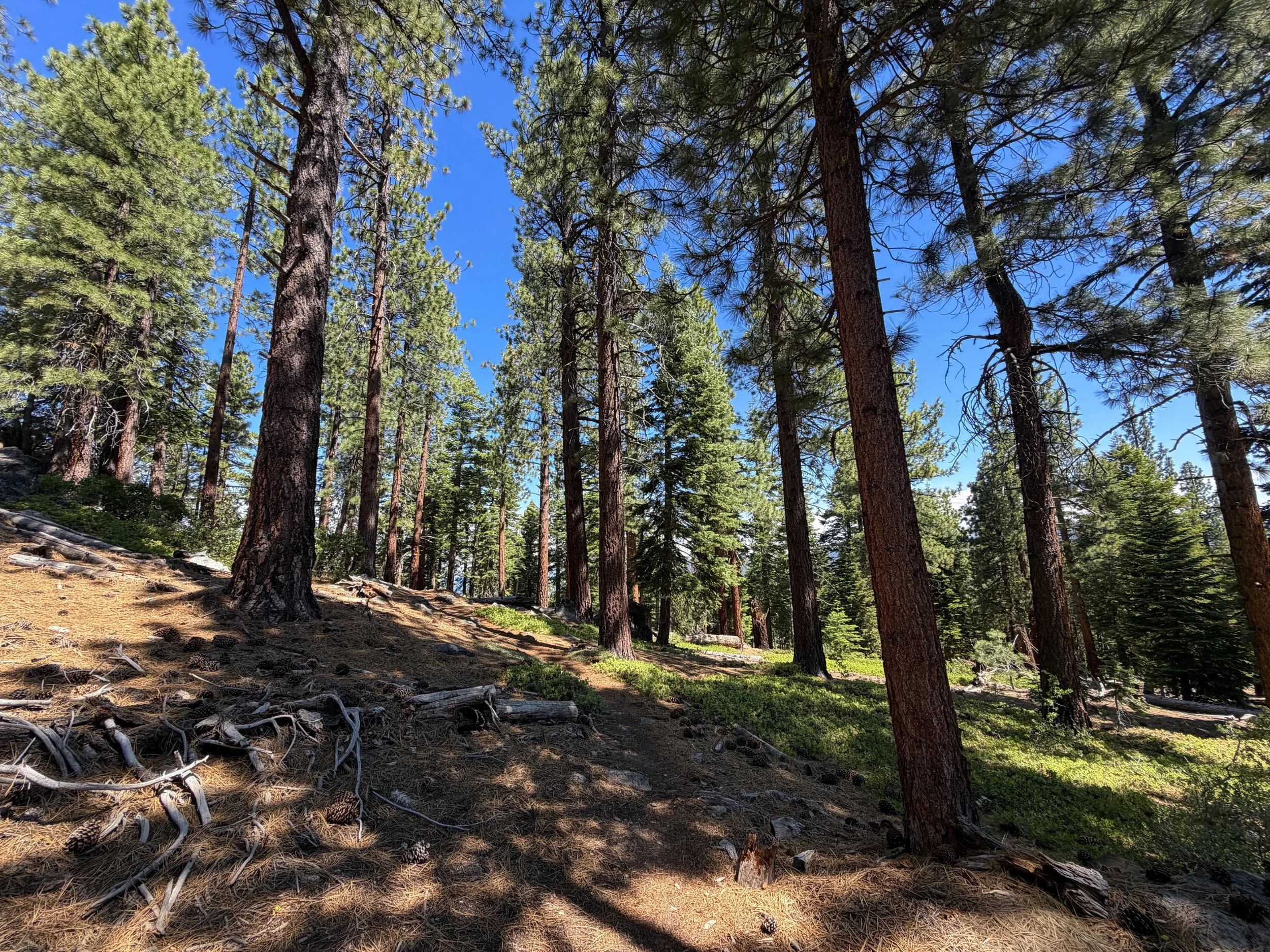 Captain Pomin Trail Lake Tahoe Nevada