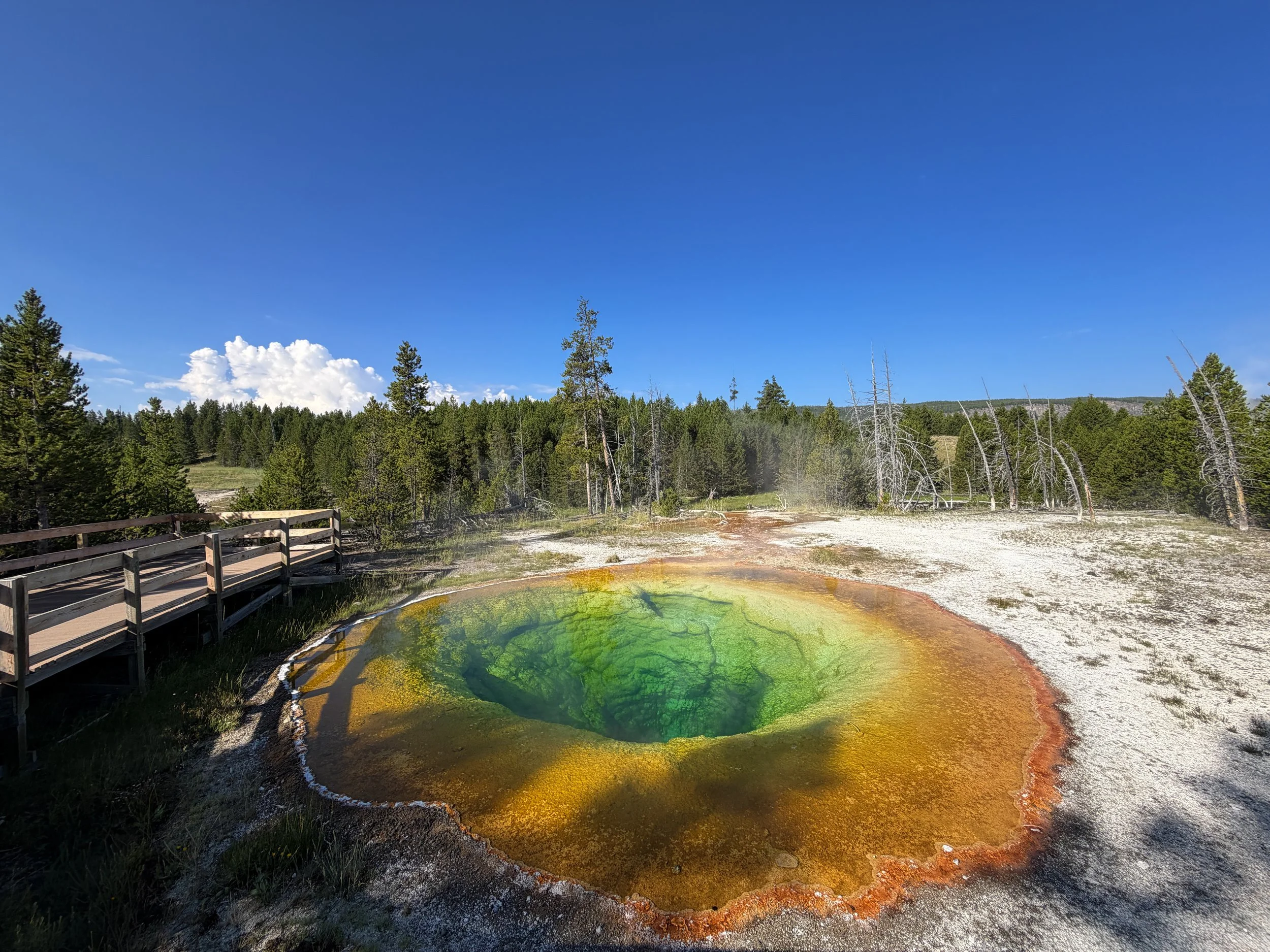 Morning Glory Pool Yellowstone National Park Wyoming