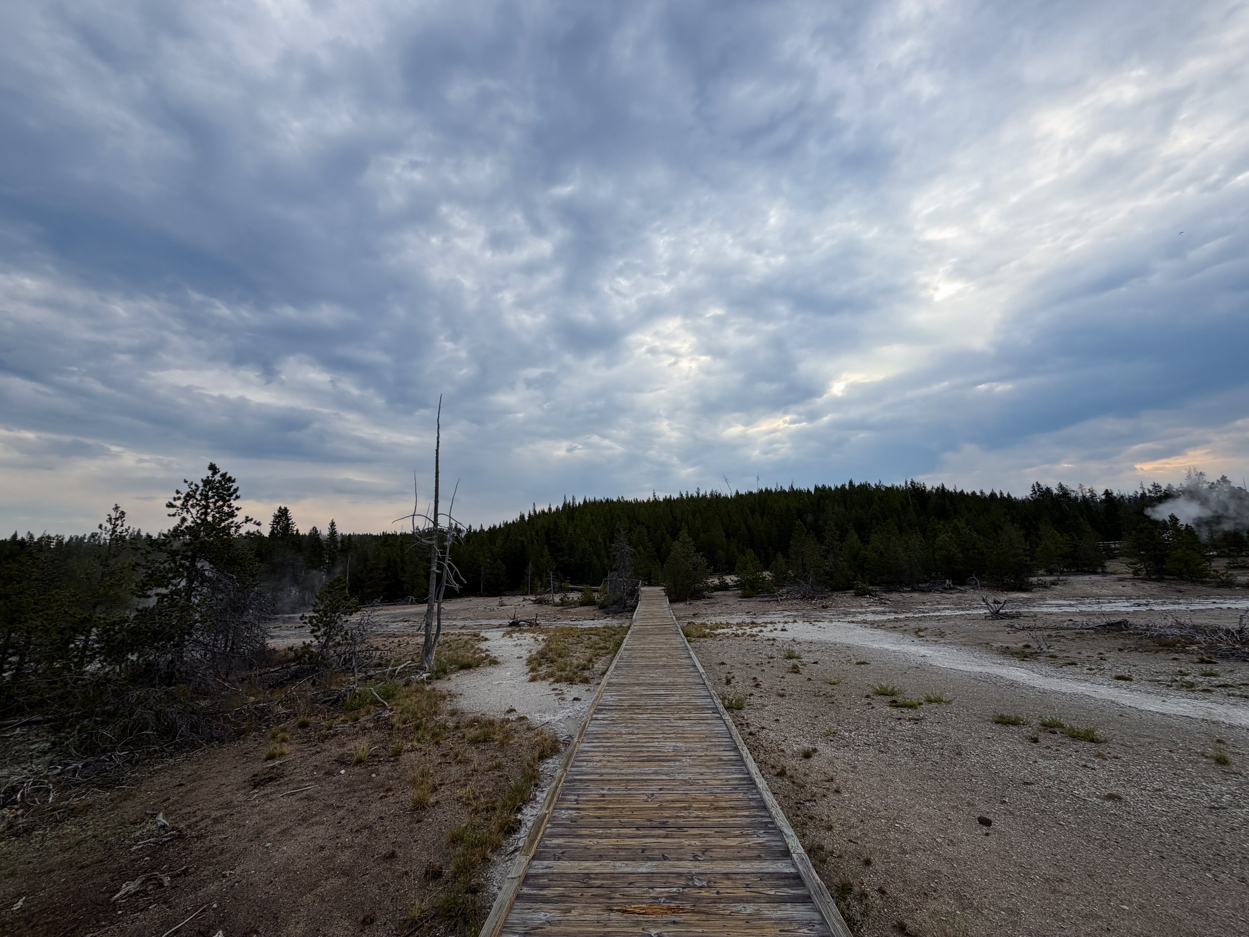 Norris Geyser Basin Trail Yellowstone National Park Wyoming