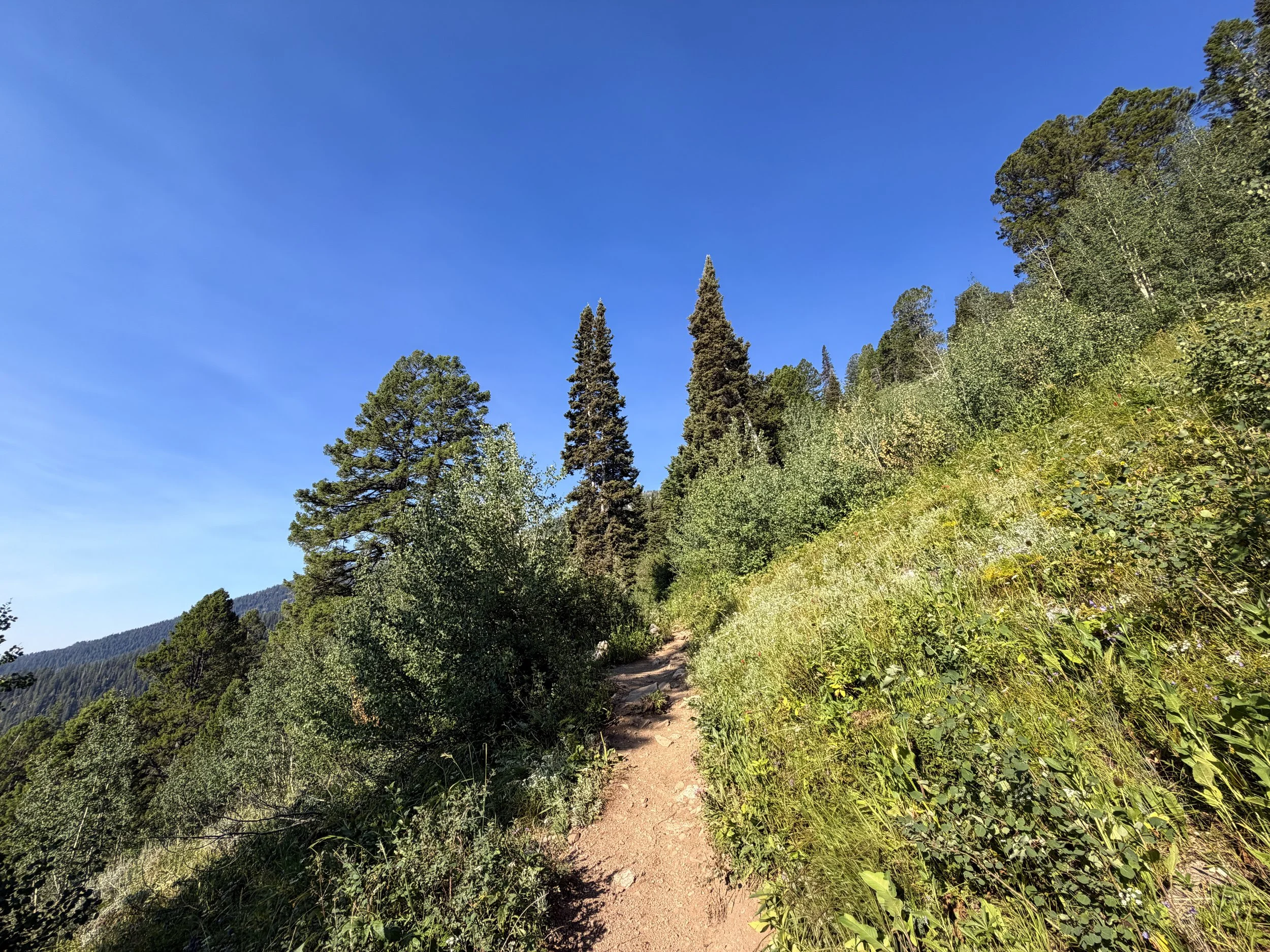 Delta Lake Hike Switchbacks Grand Teton National Park Wyoming