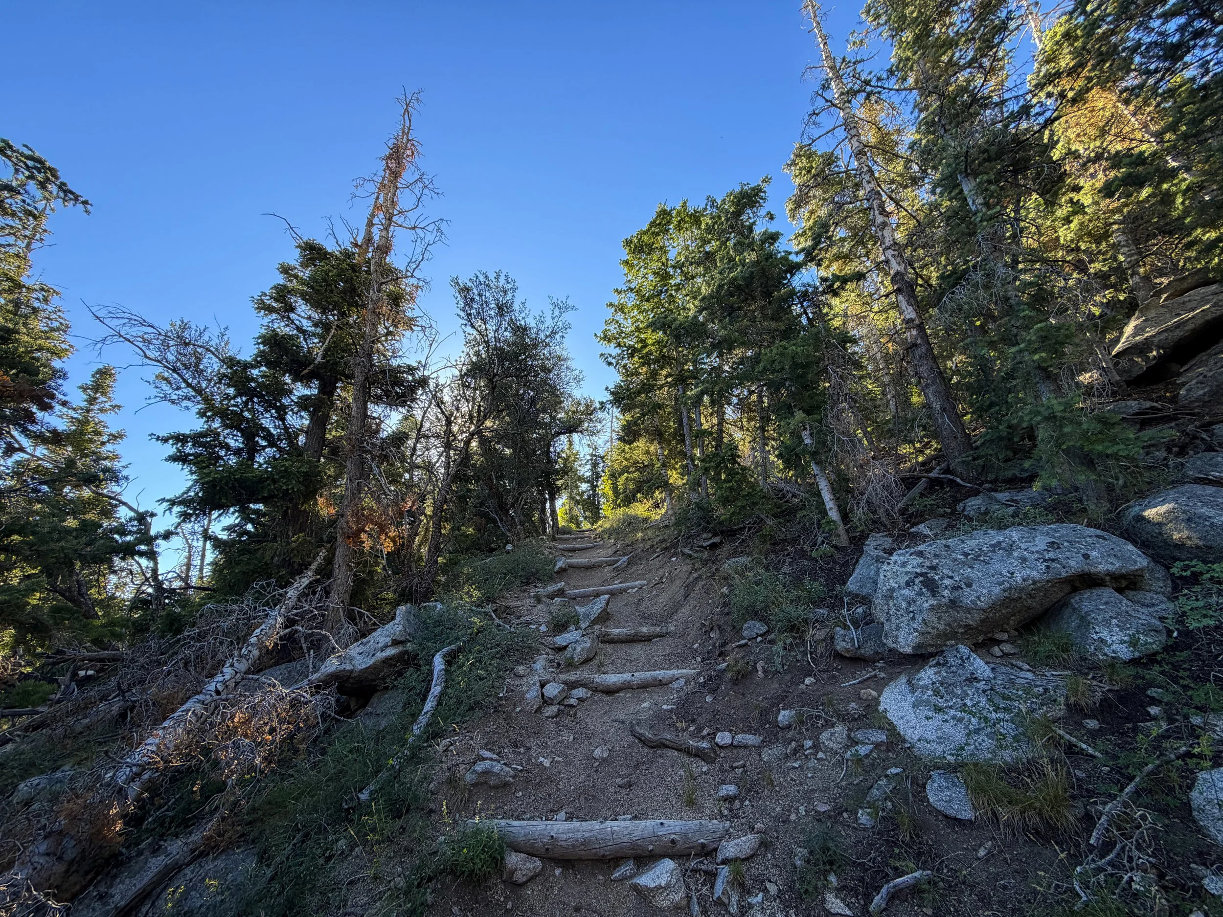 Snake Divide Trail Great Basin National Park Nevada