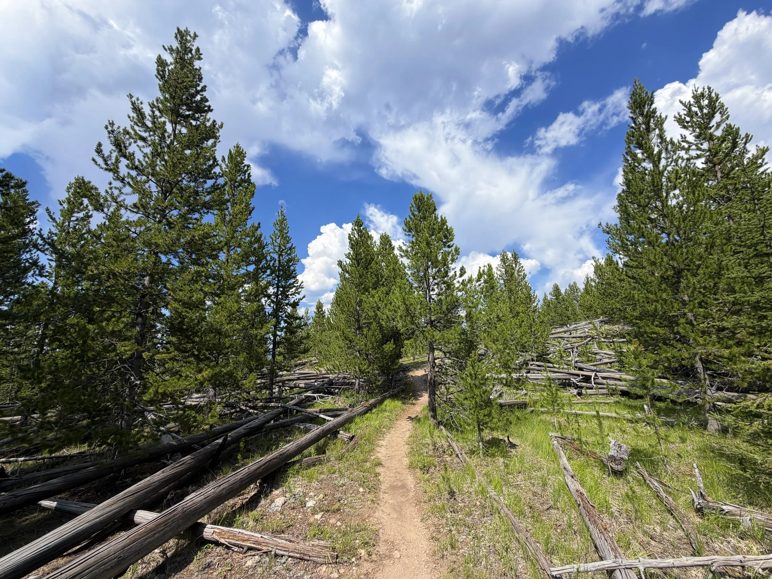 Bunsen Peak Trail Yellowstone National Park Wyoming