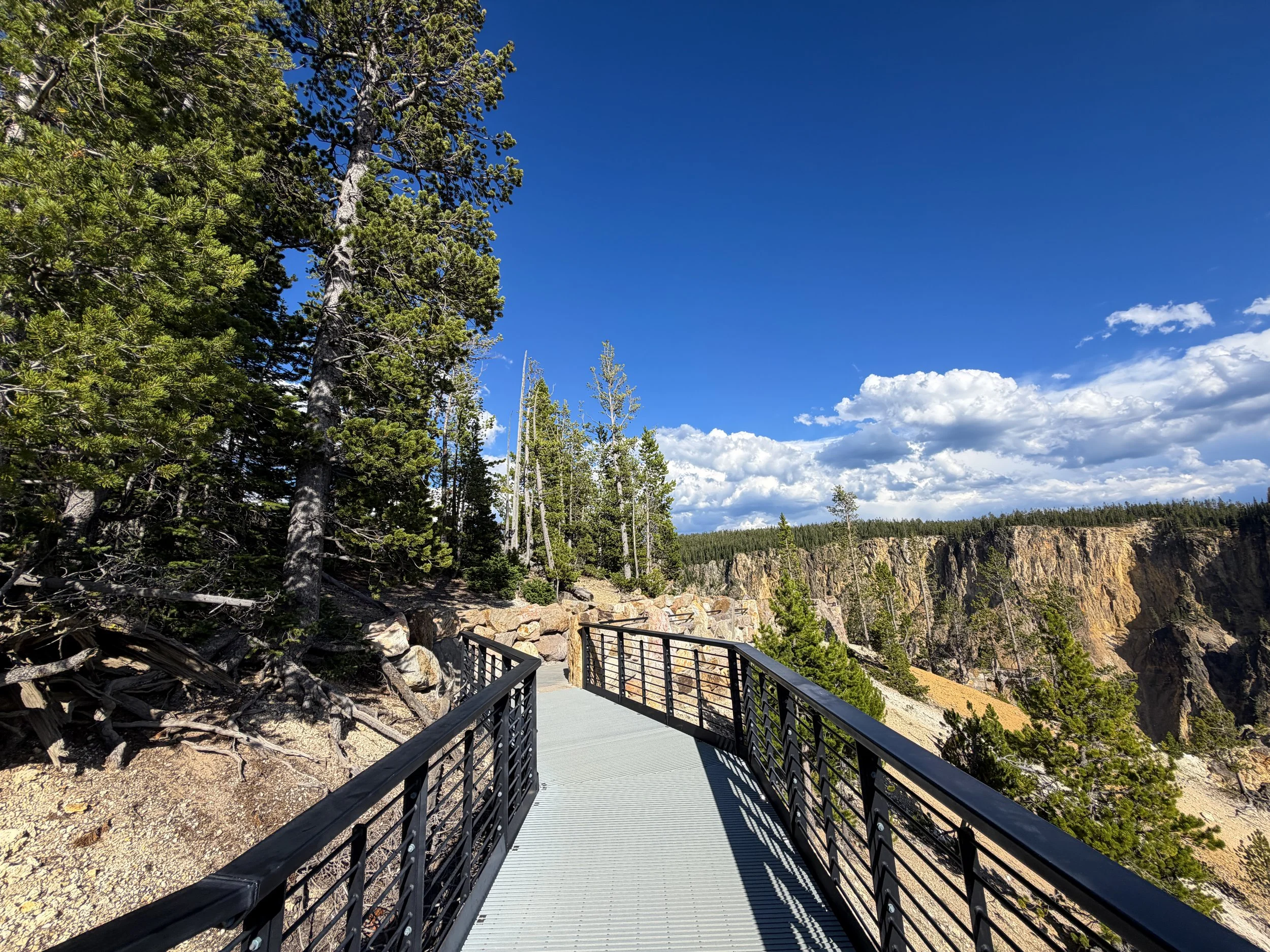 Inspiration Point North Rim Trail Yellowstone National Park Wyoming