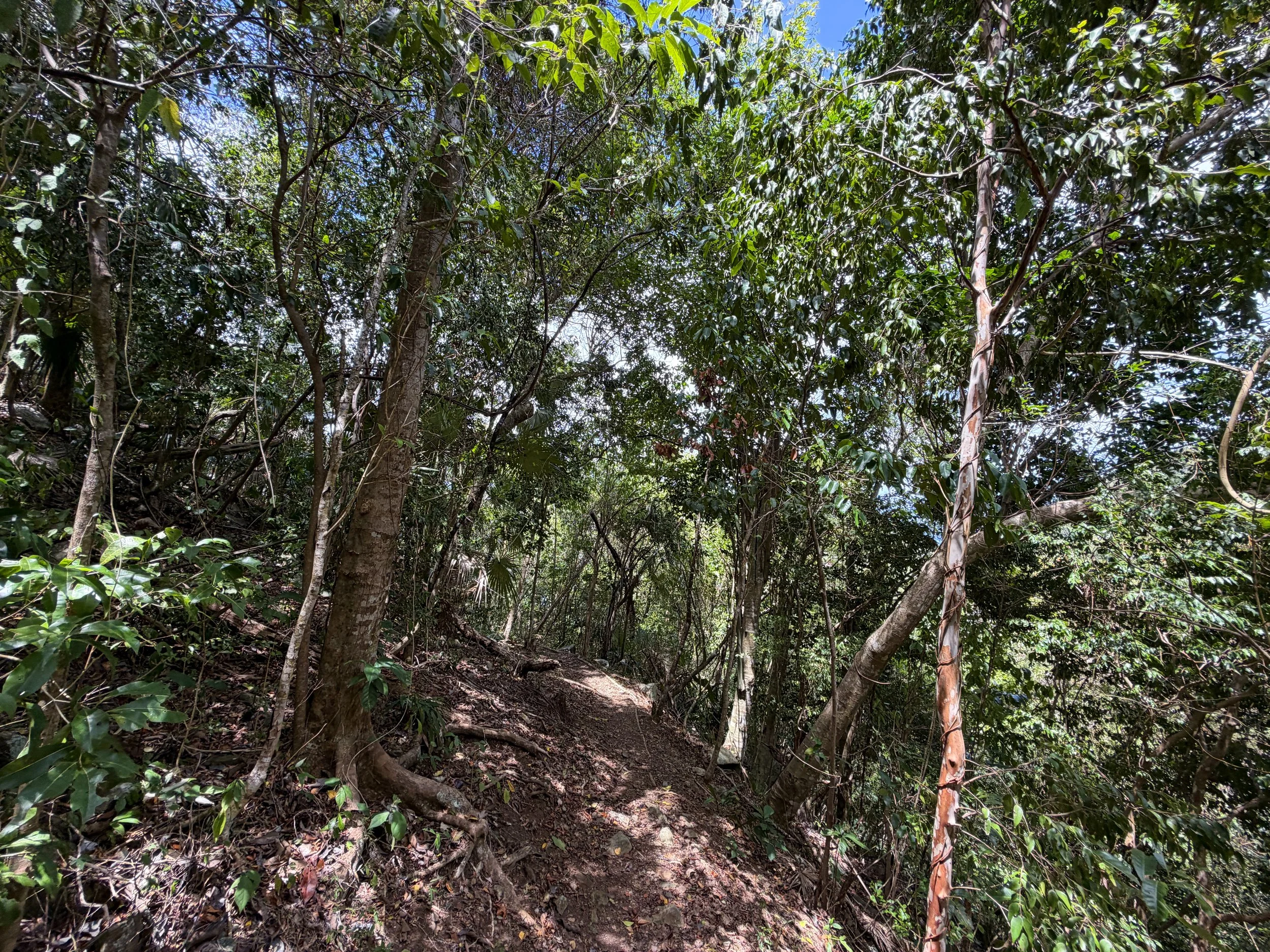 Maria Hope Hike Virgin Islands National Park