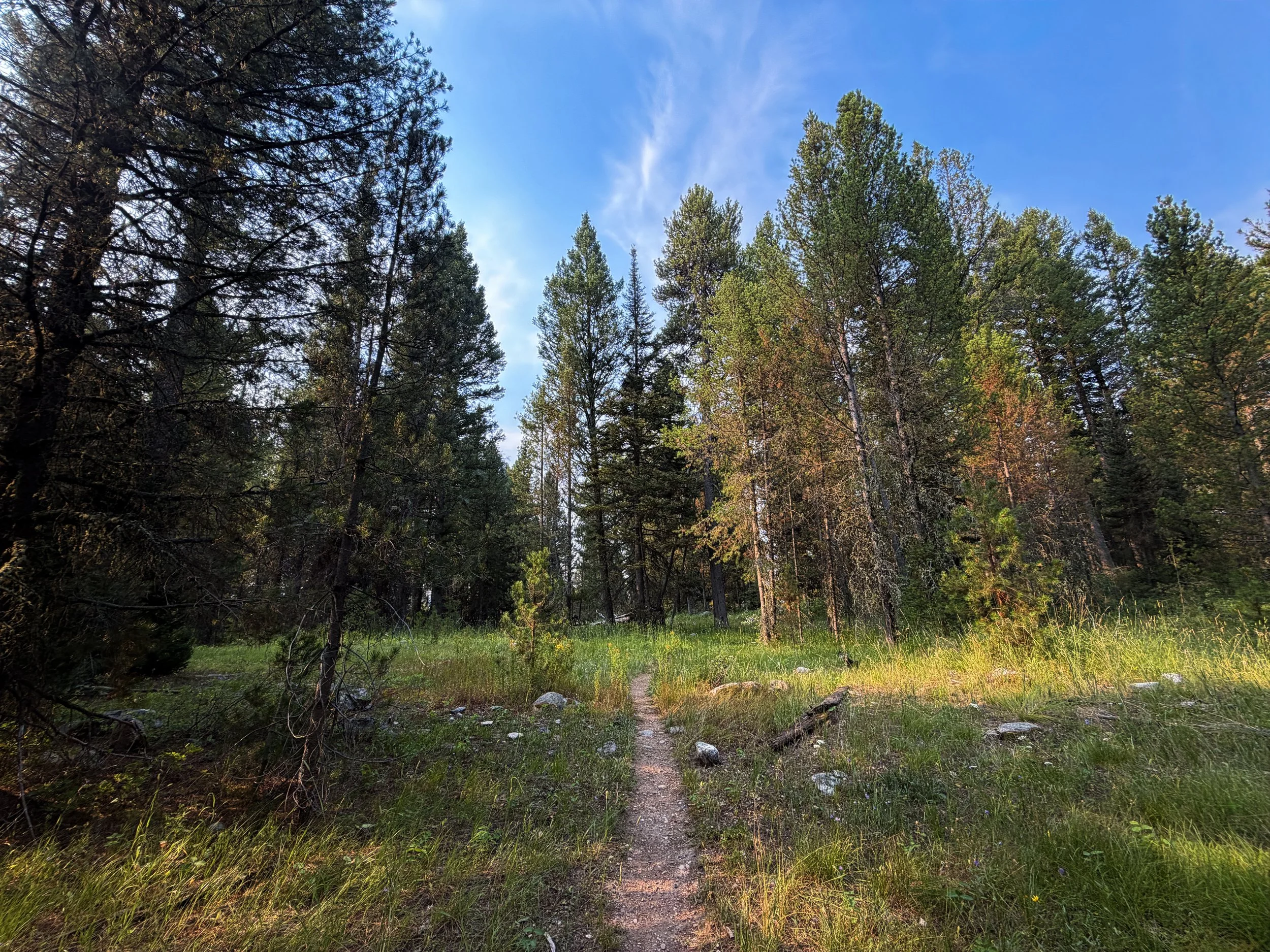 Aspen–Boulder Ridge Loop Trail Grand Teton National Park Wyoming