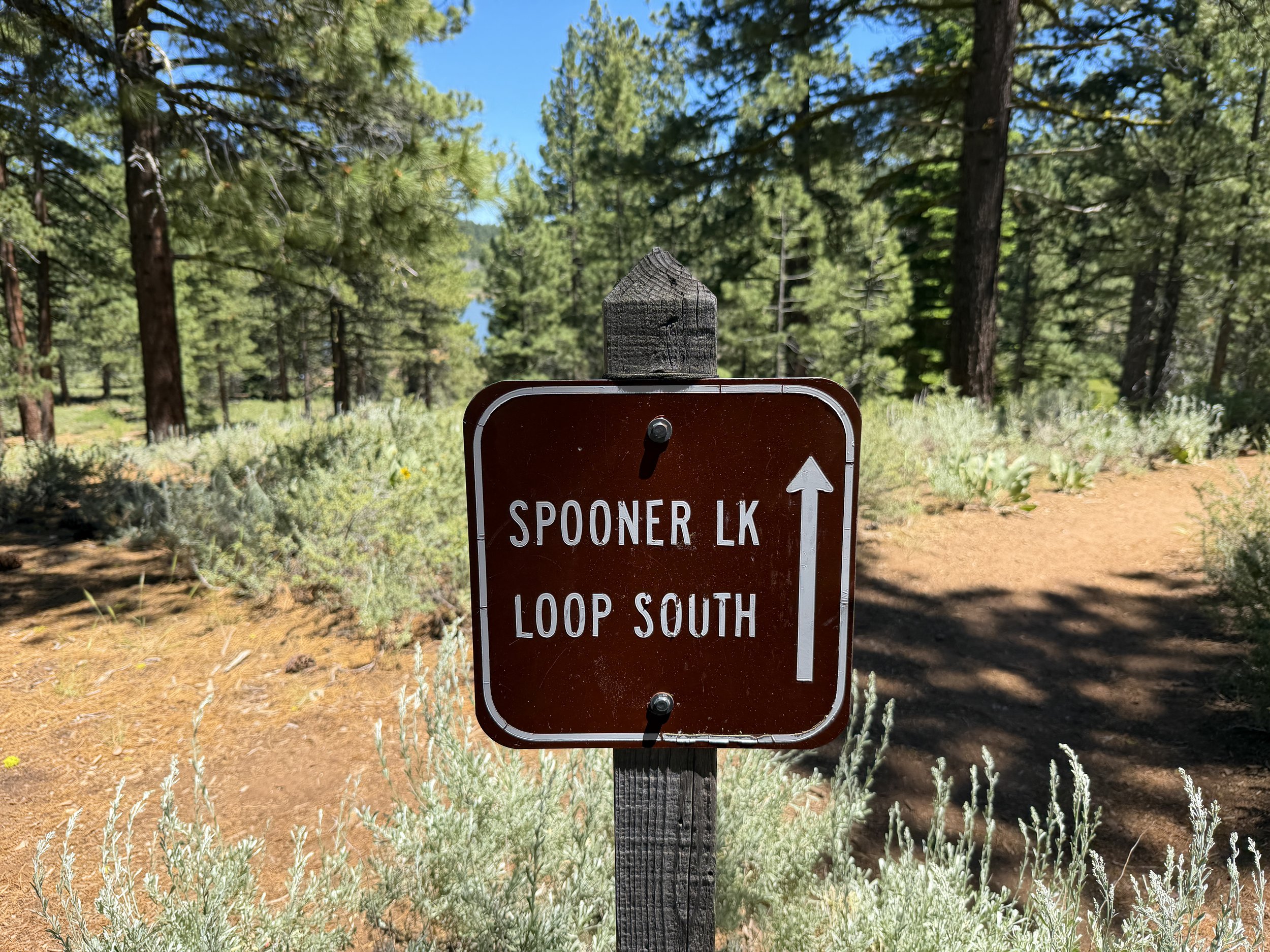 Spooner Lake Loop Trail Lake Tahoe Nevada