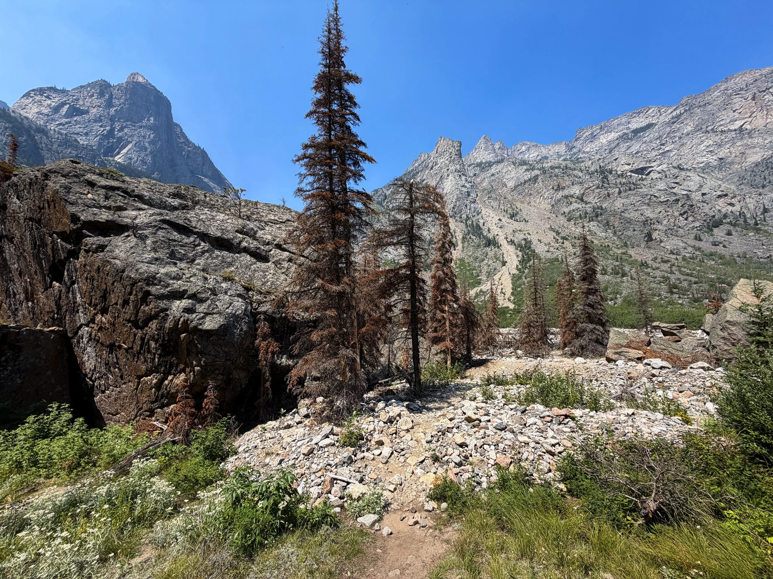 East Rosebud Trail Beaten Path Beartooth Mountains Montana