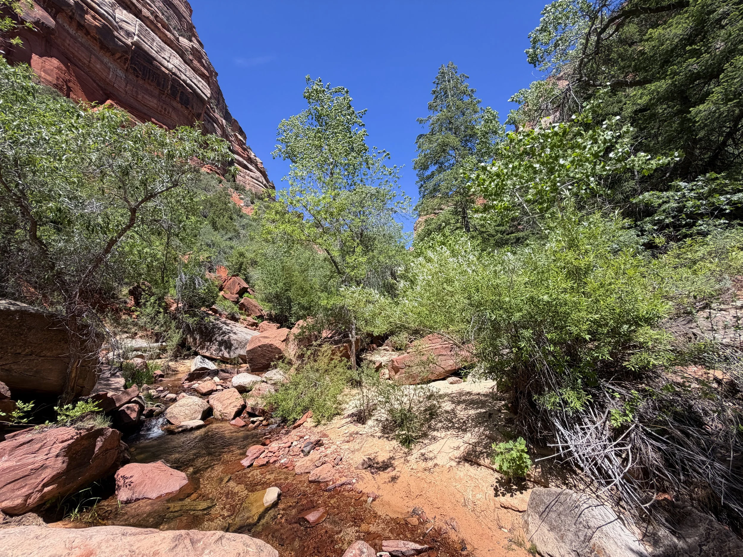Subway Trail Zion National Park Utah
