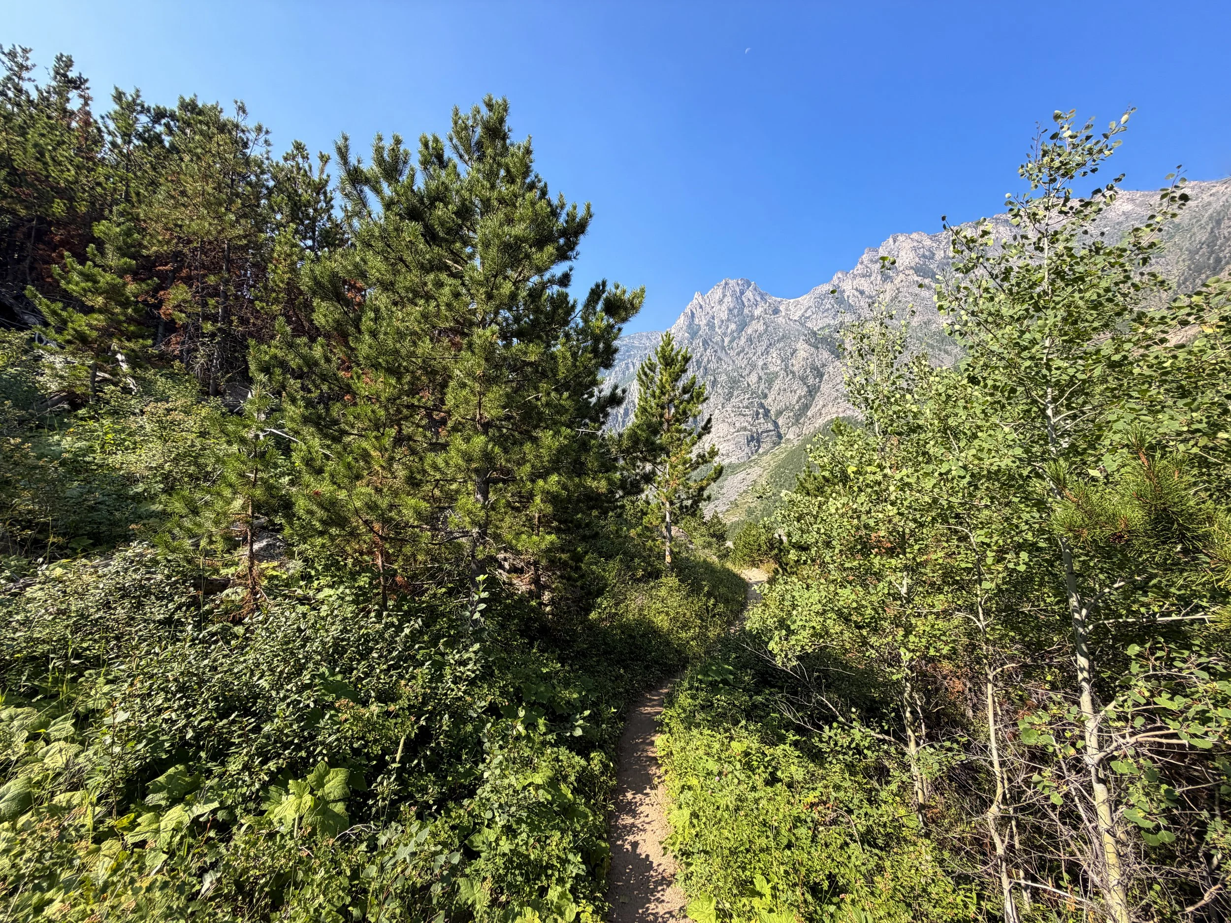 Beaten Path Trail Beartooth Mountains Montana