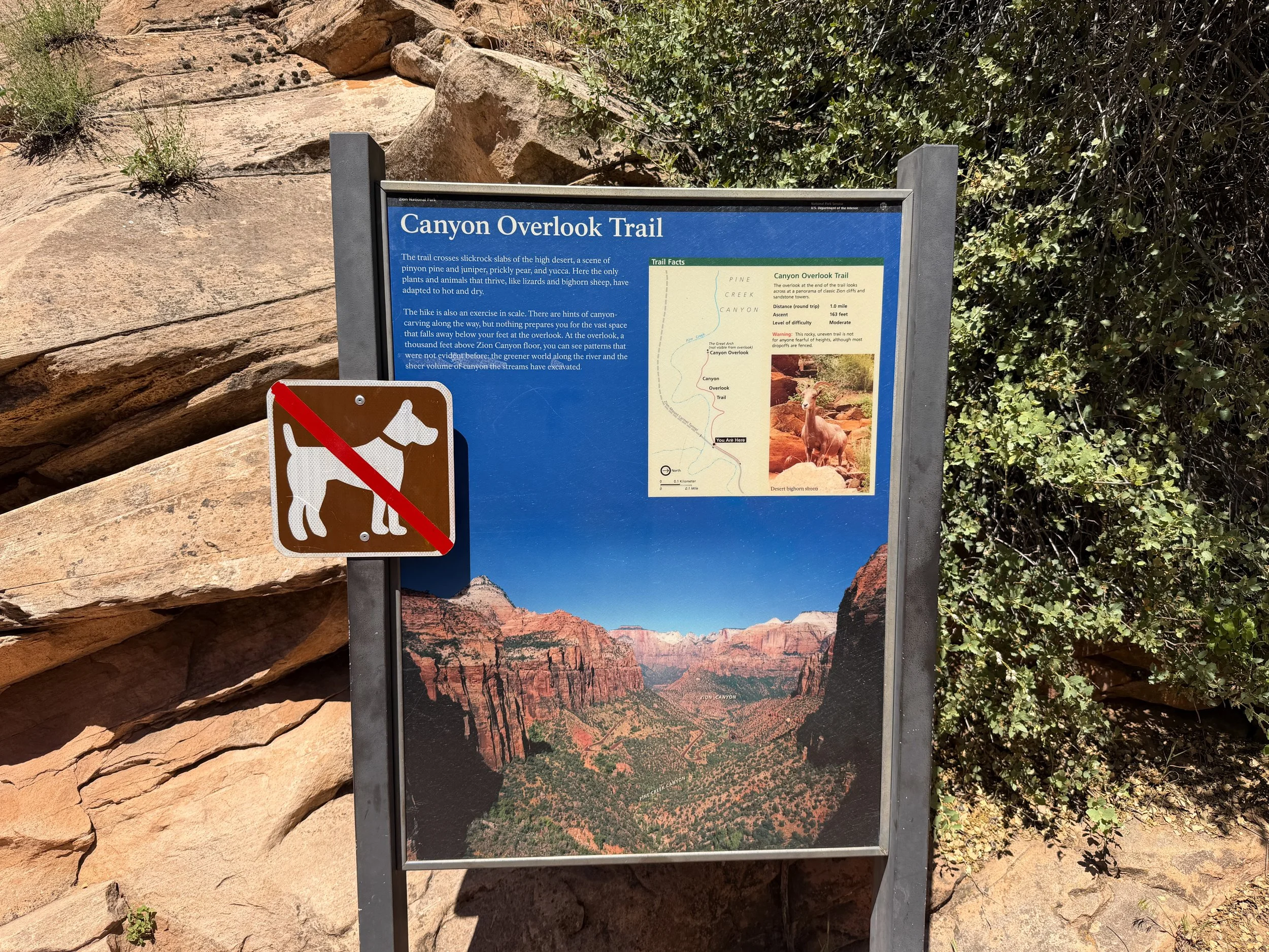 Canyon Overlook Trailhead Zion National Park Utah