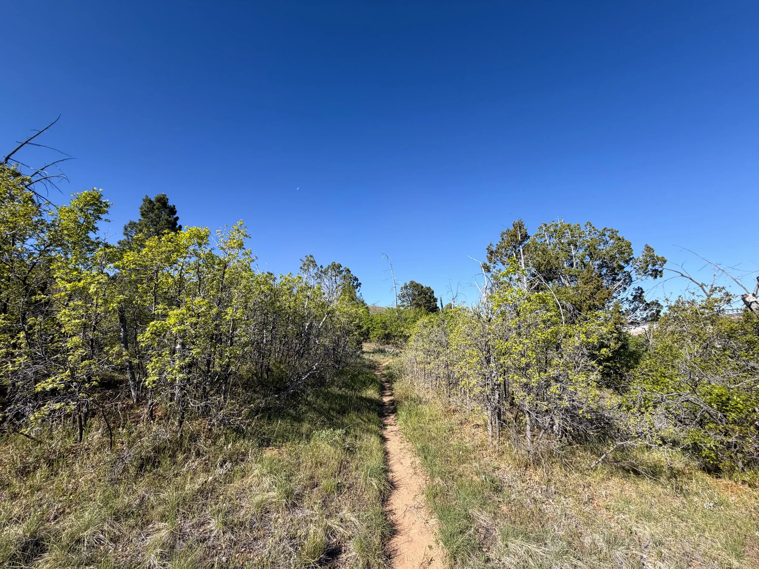 Deertrap Mountain Trail Zion National Park Utah