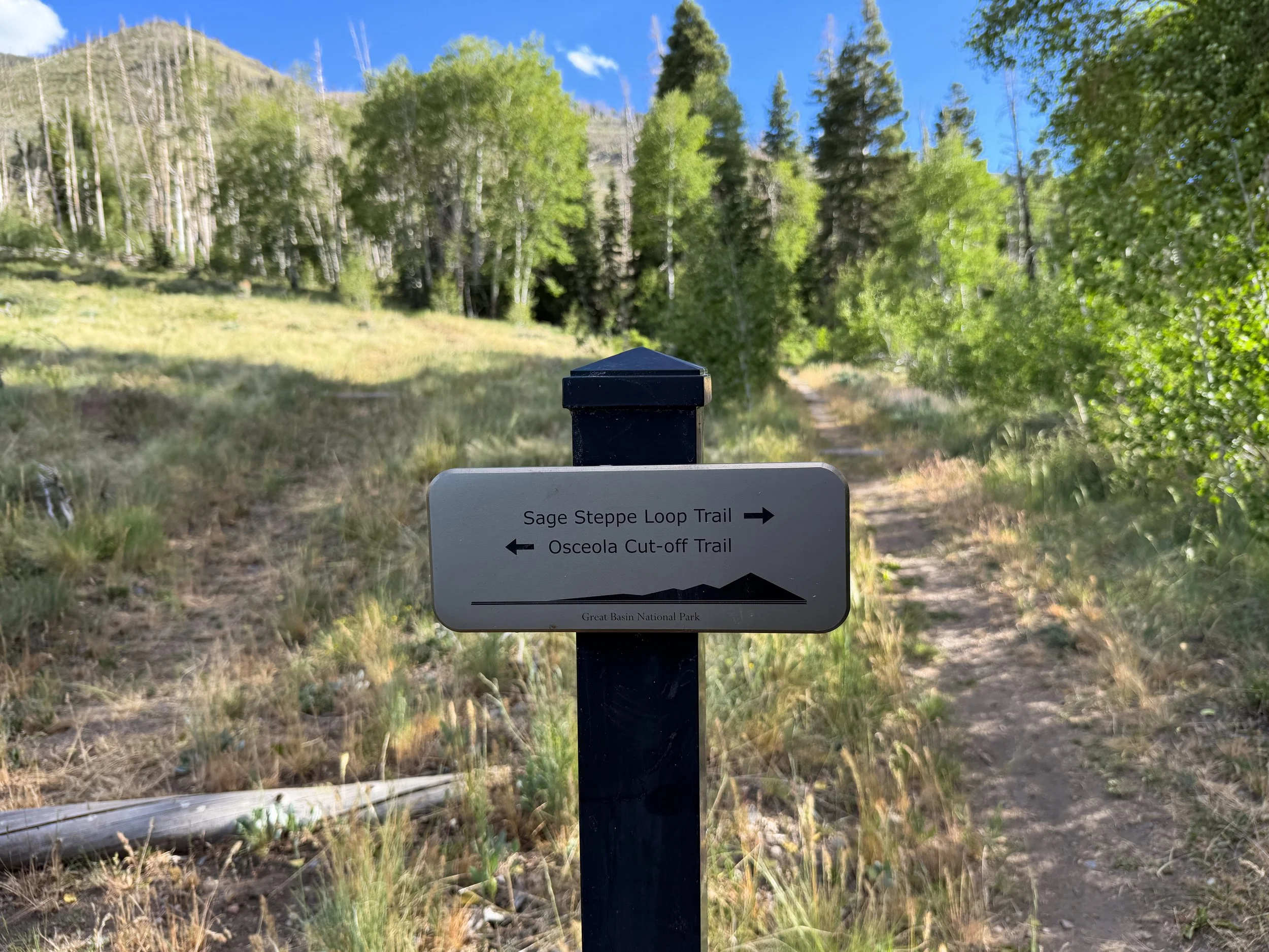 Sage Steppe Loop Trail Great Basin National Park Nevada