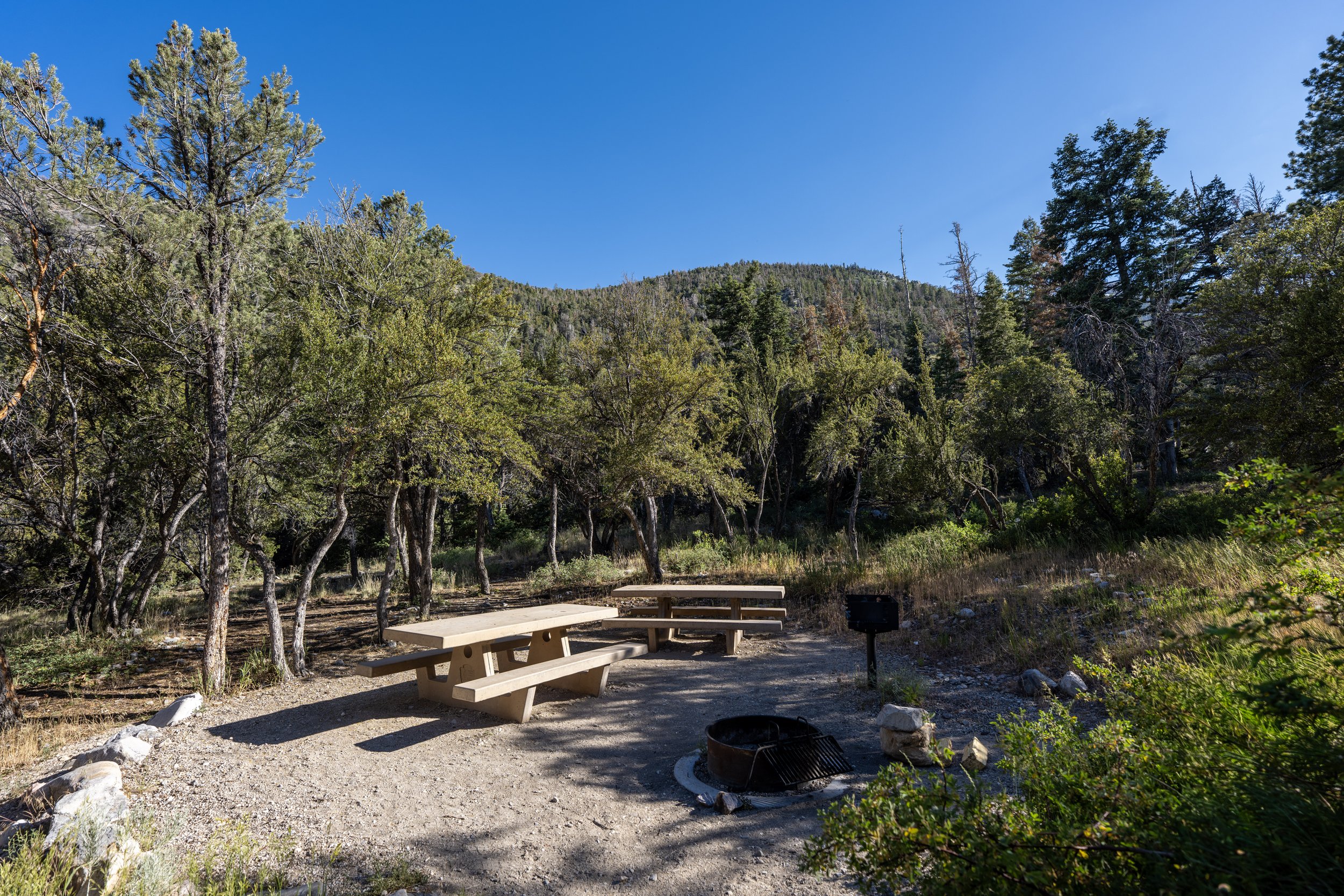 Upper Lehman Creek Campground Great Basin National Park