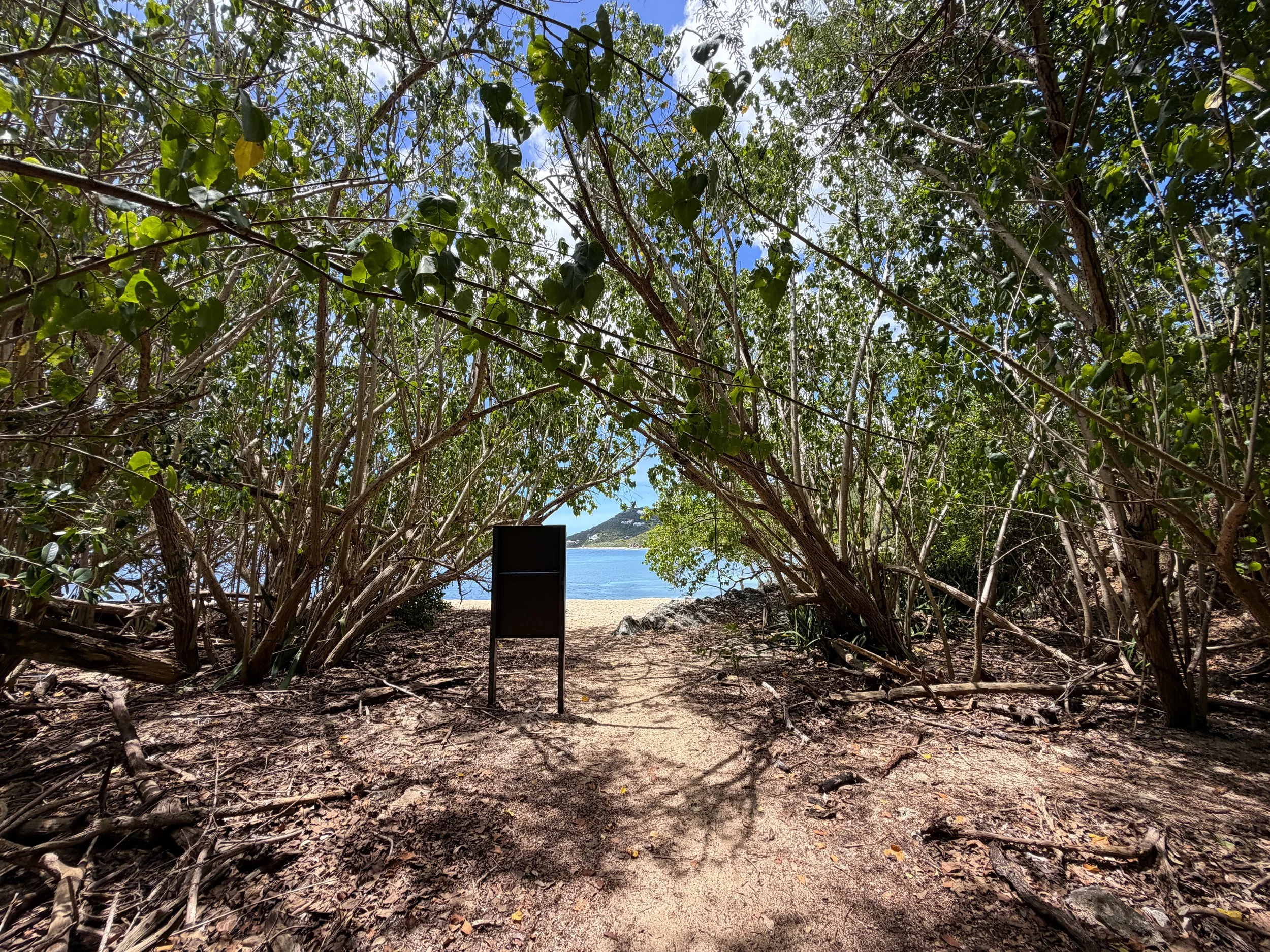 Reef Bay Beach Virgin Islands National Park