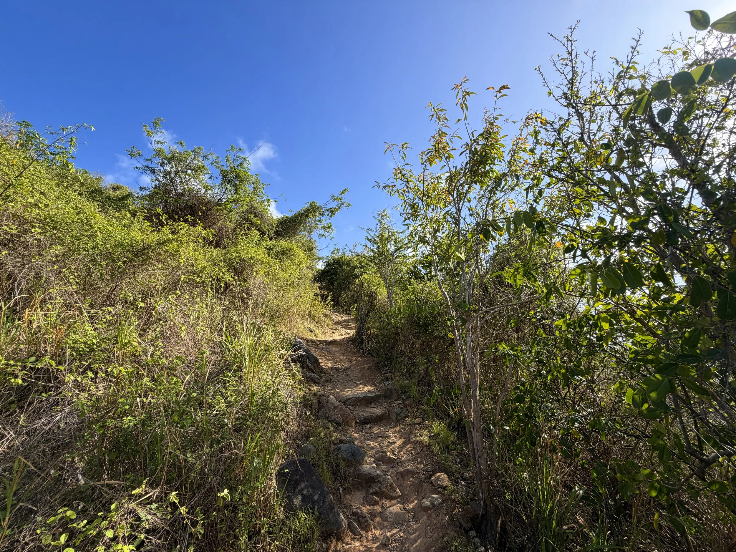 Ram Head Hike Virgin Islands National Park