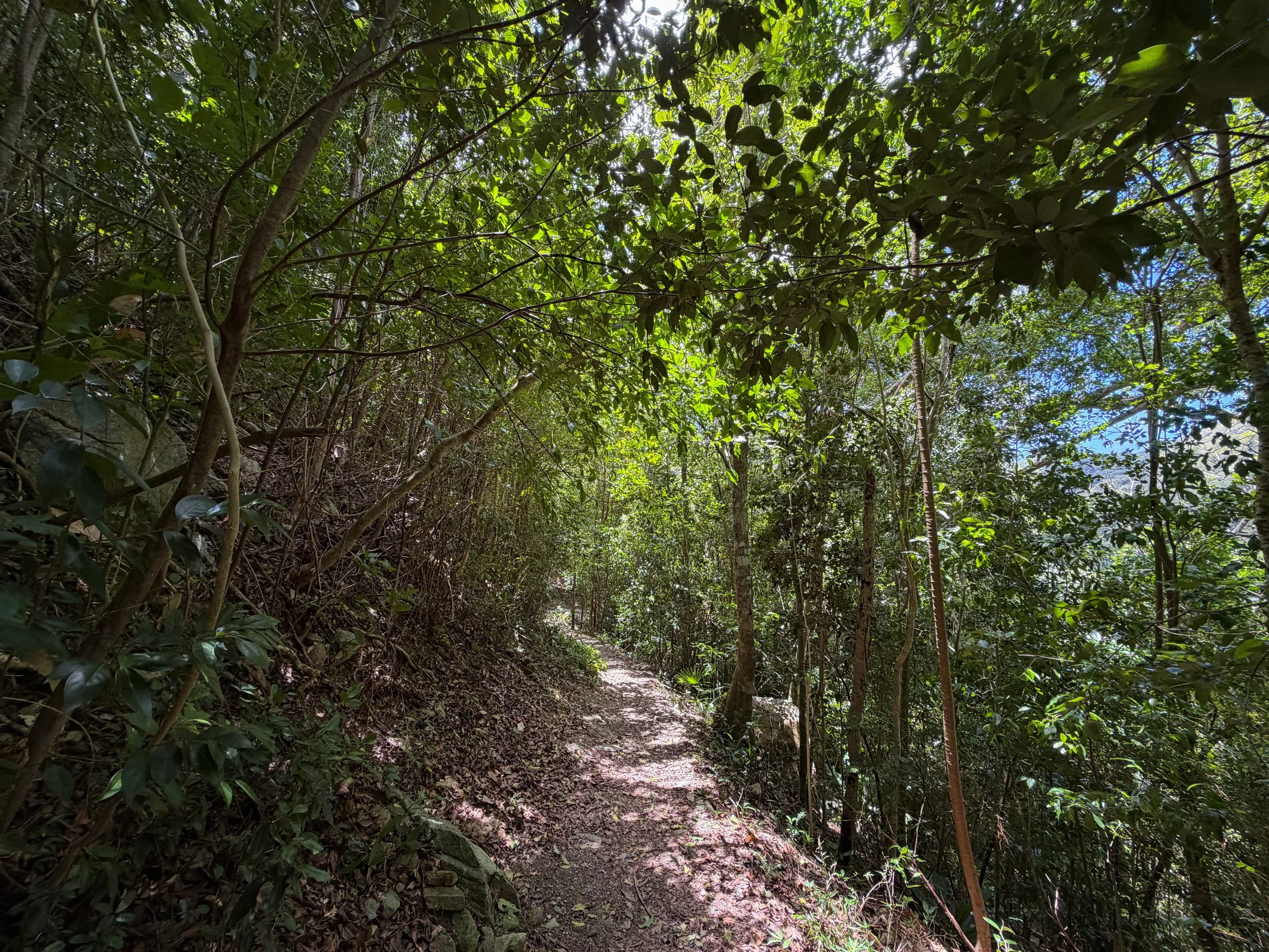 Reef Bay Trail Virgin Islands National Park