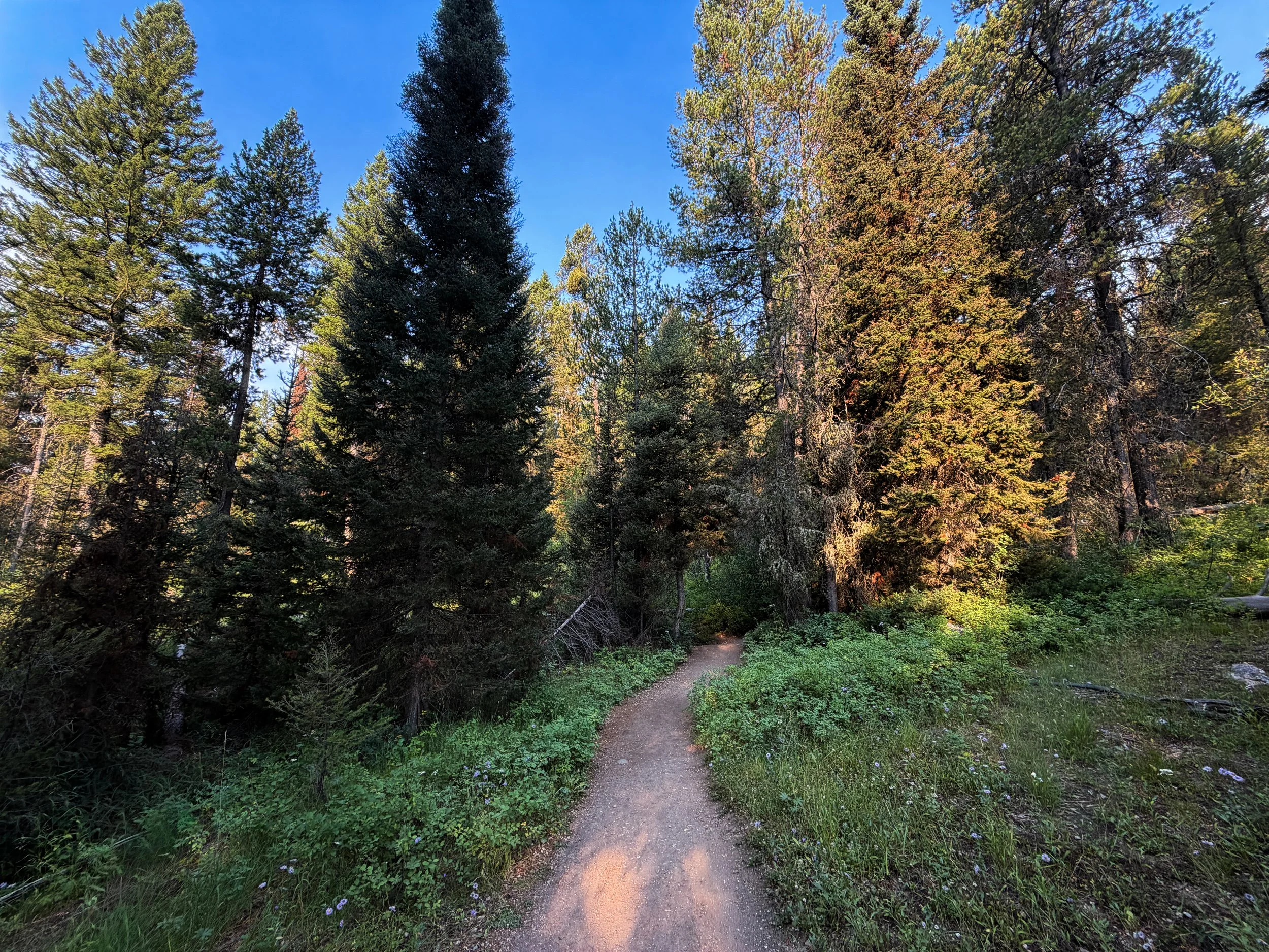 Boulder Ridge Loop Trail Grand Teton National Park Wyoming