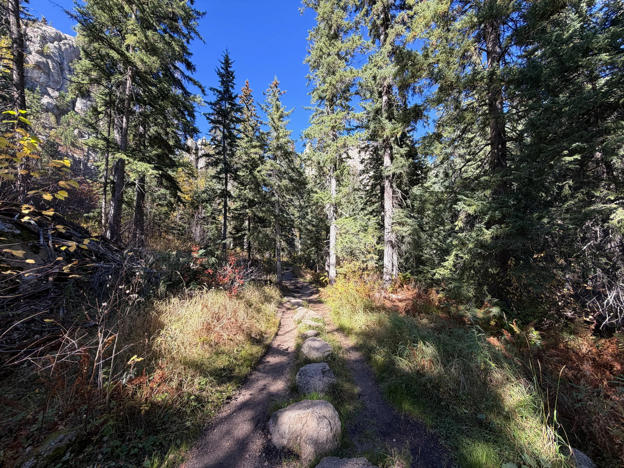 Cathedral Spires Hike Custer State Park Black Hills South Dakota